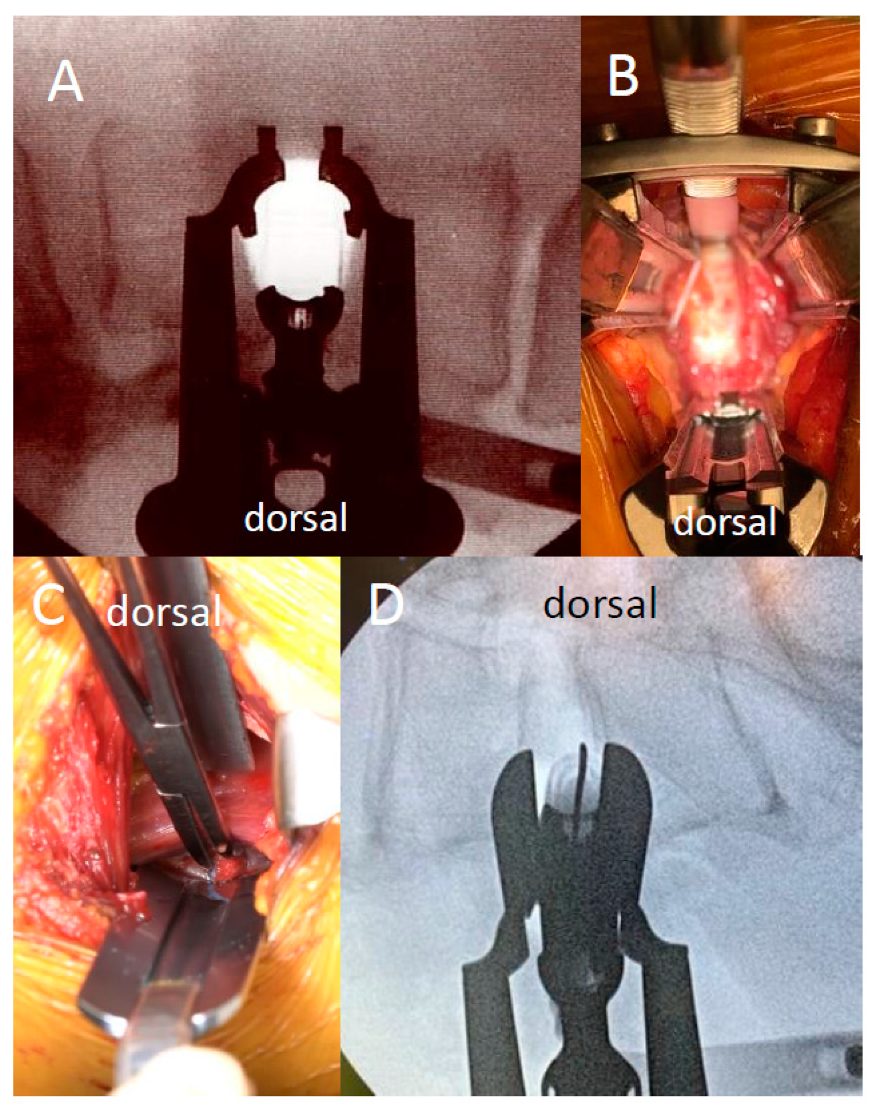 Medicina 59 00730 g003 Medicina 59 00730 g003