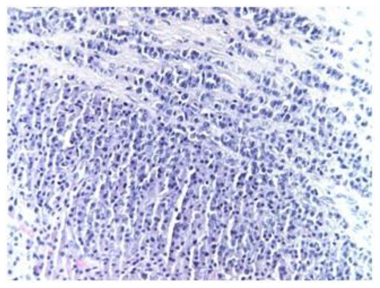 Medicina 59 00731 g002