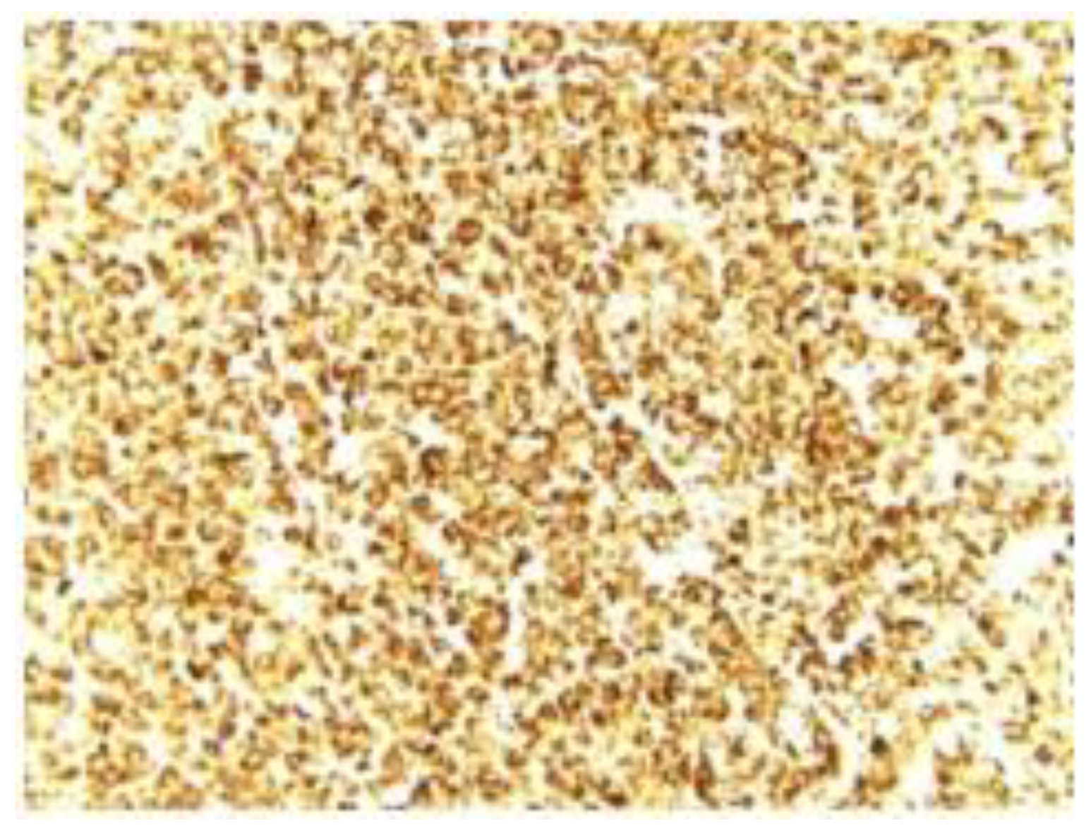 Medicina 59 00731 g003