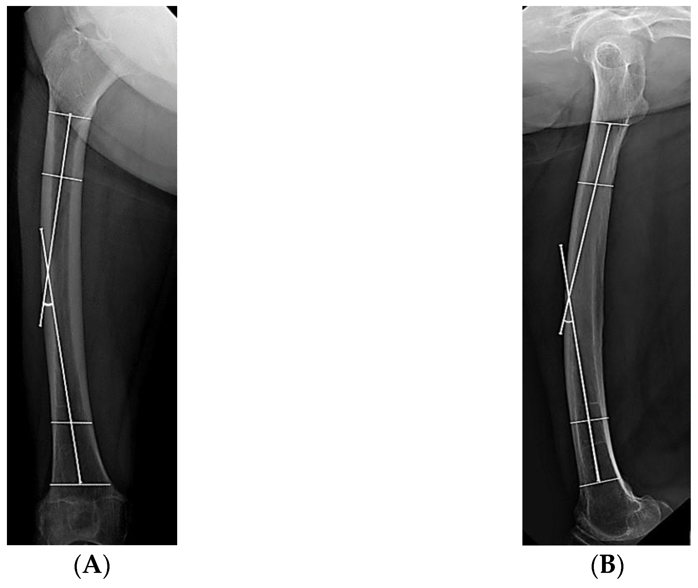 Medicina 59 00735 g004