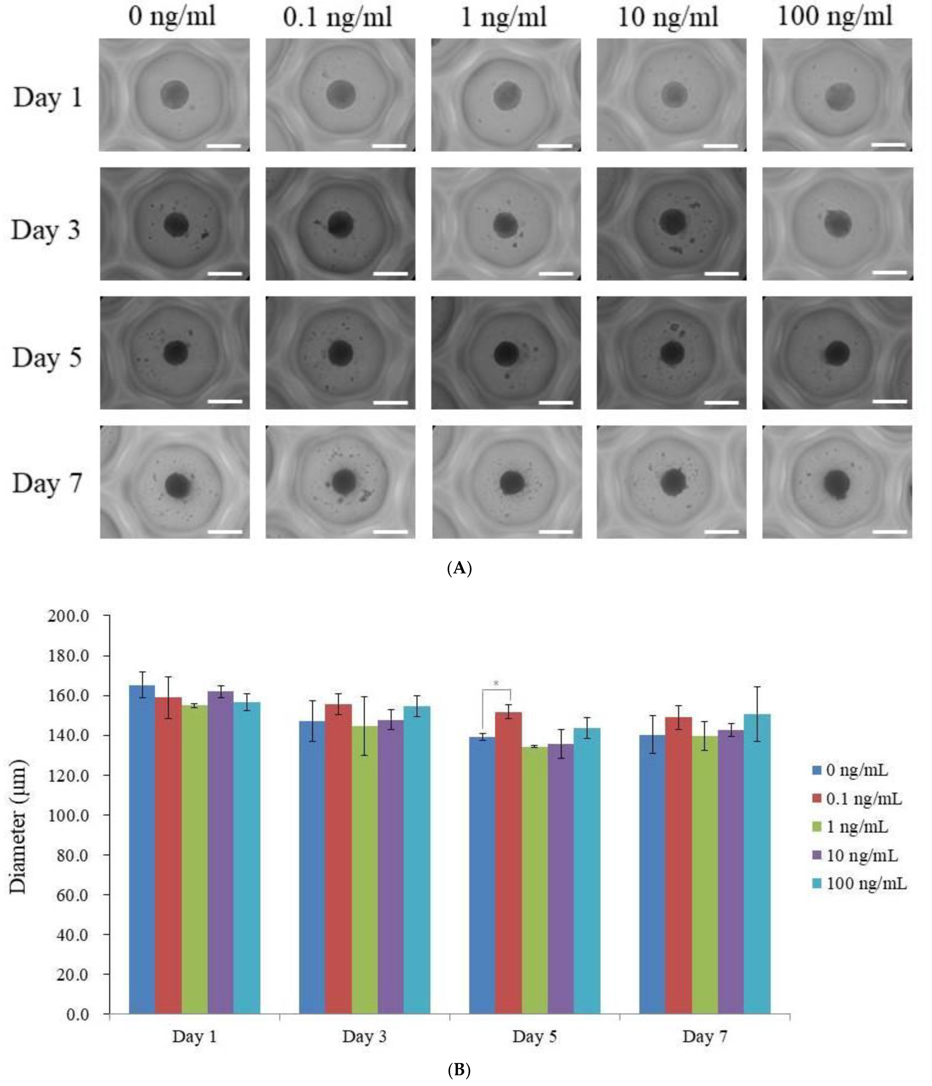 Medicina 59 00736 g001