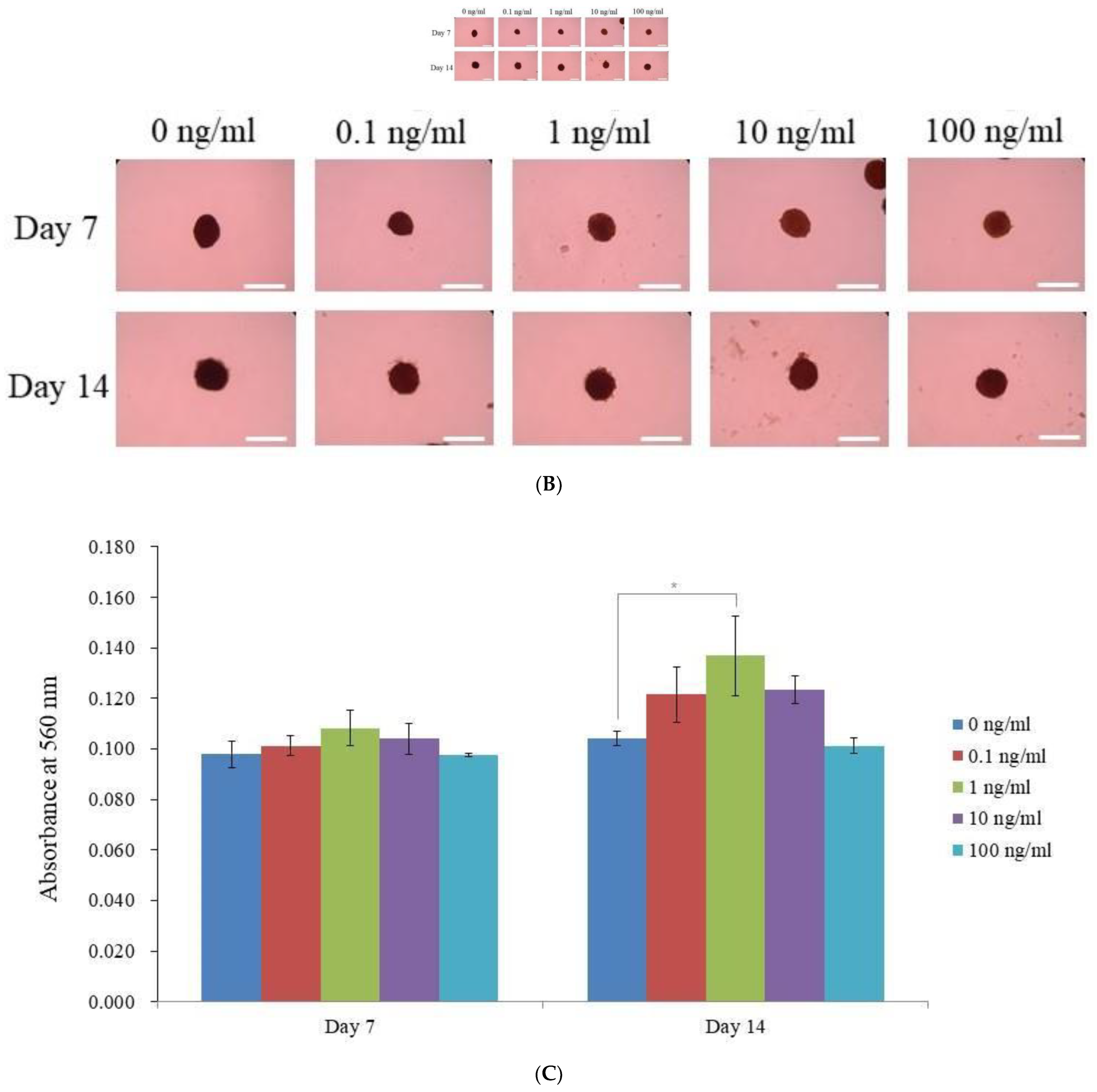 Medicina 59 00736 g003b