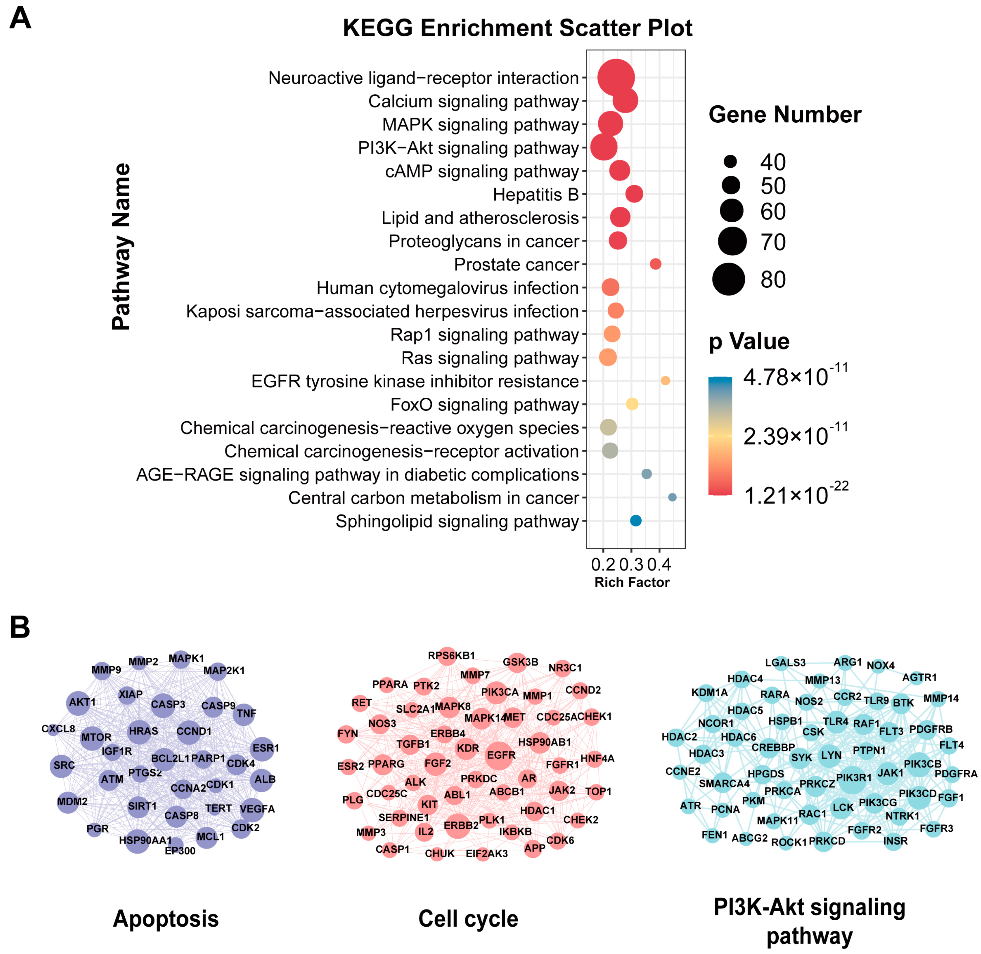 Medicina 59 00741 g001