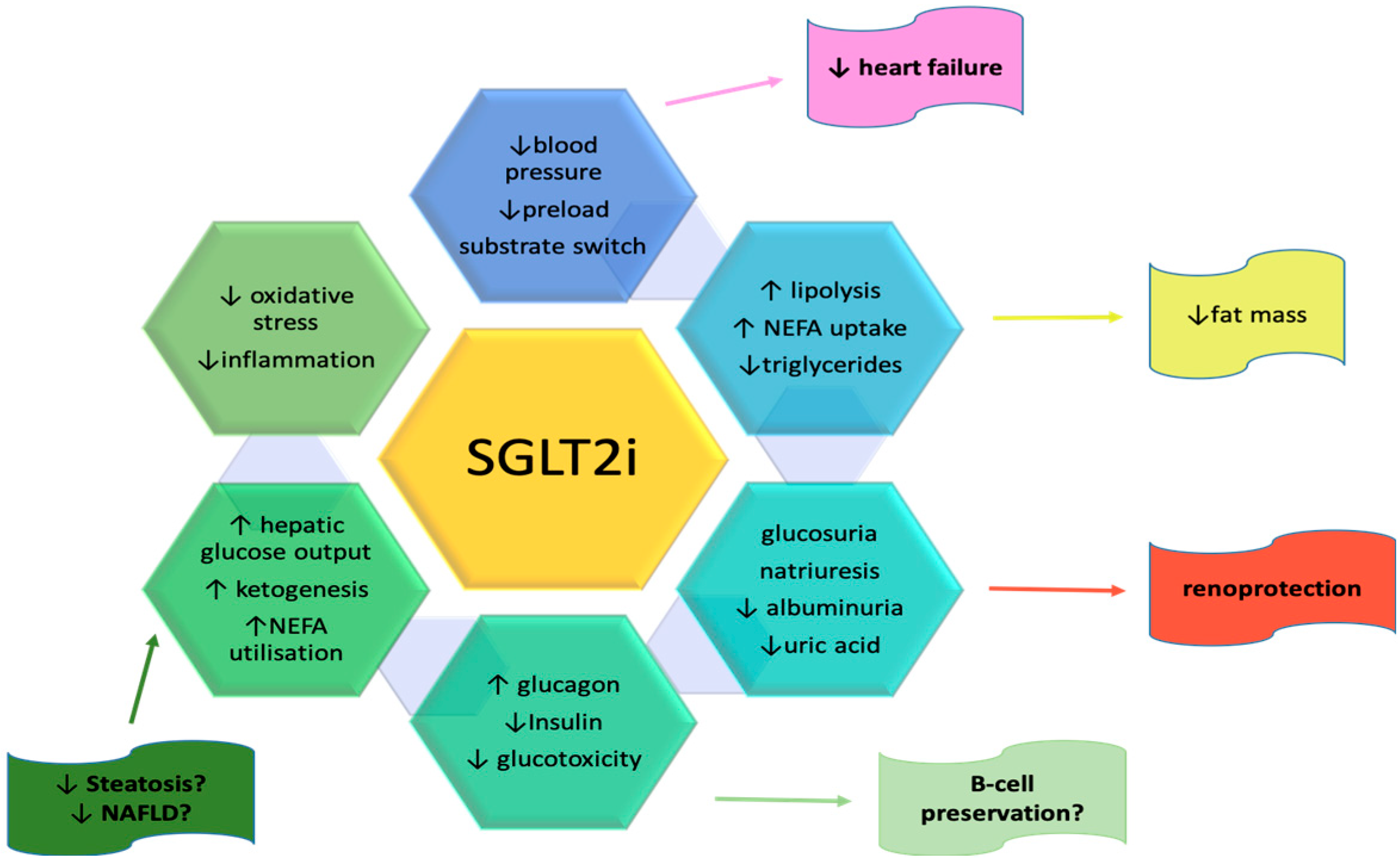 Medicina Free Full Text Sodium Glucose Cotransporter 2 SGLT2 medicina-free-full-text-sodium-glucose-cotransporter-2-sglt2