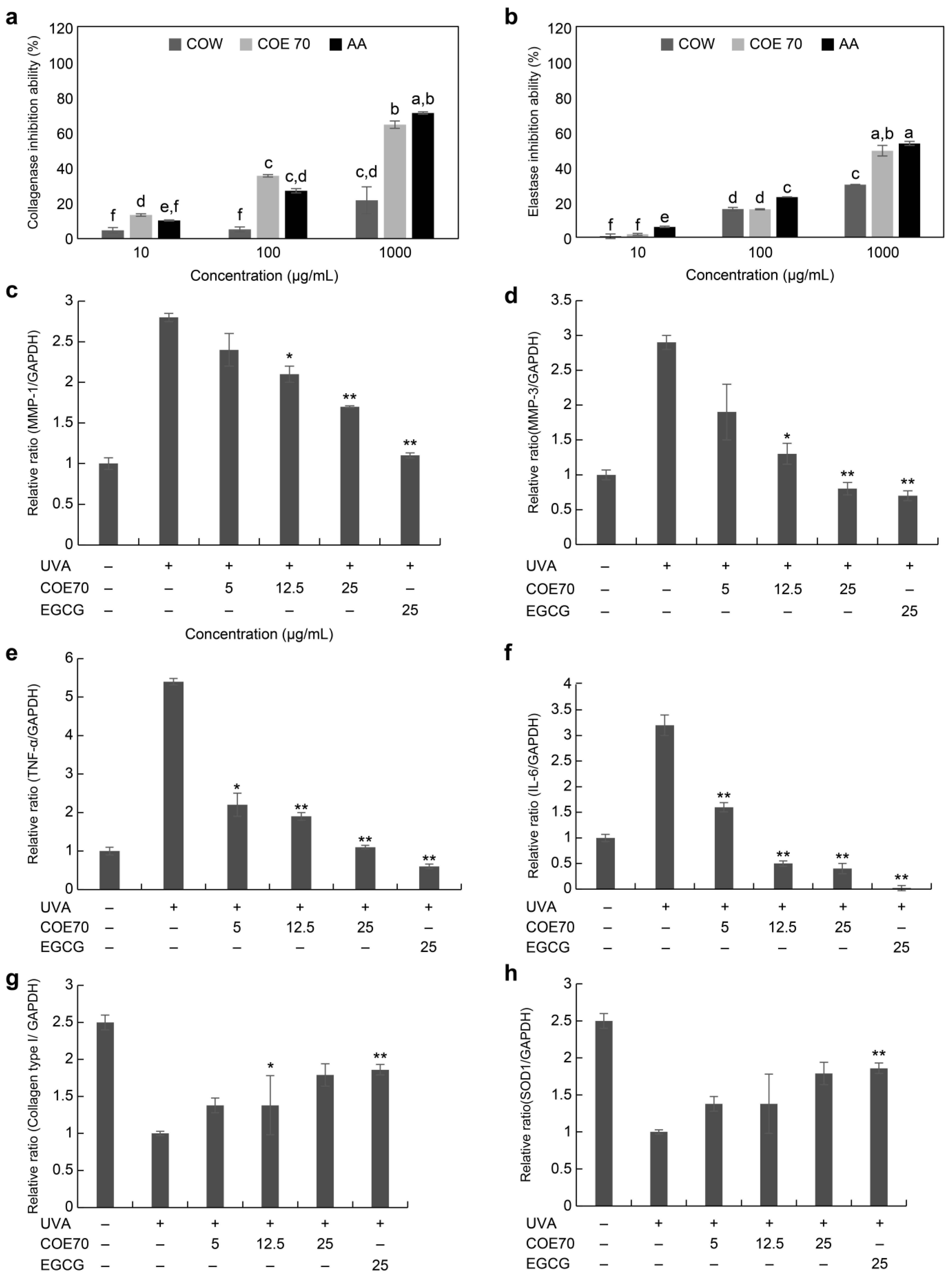 Medicina 59 00755 g003