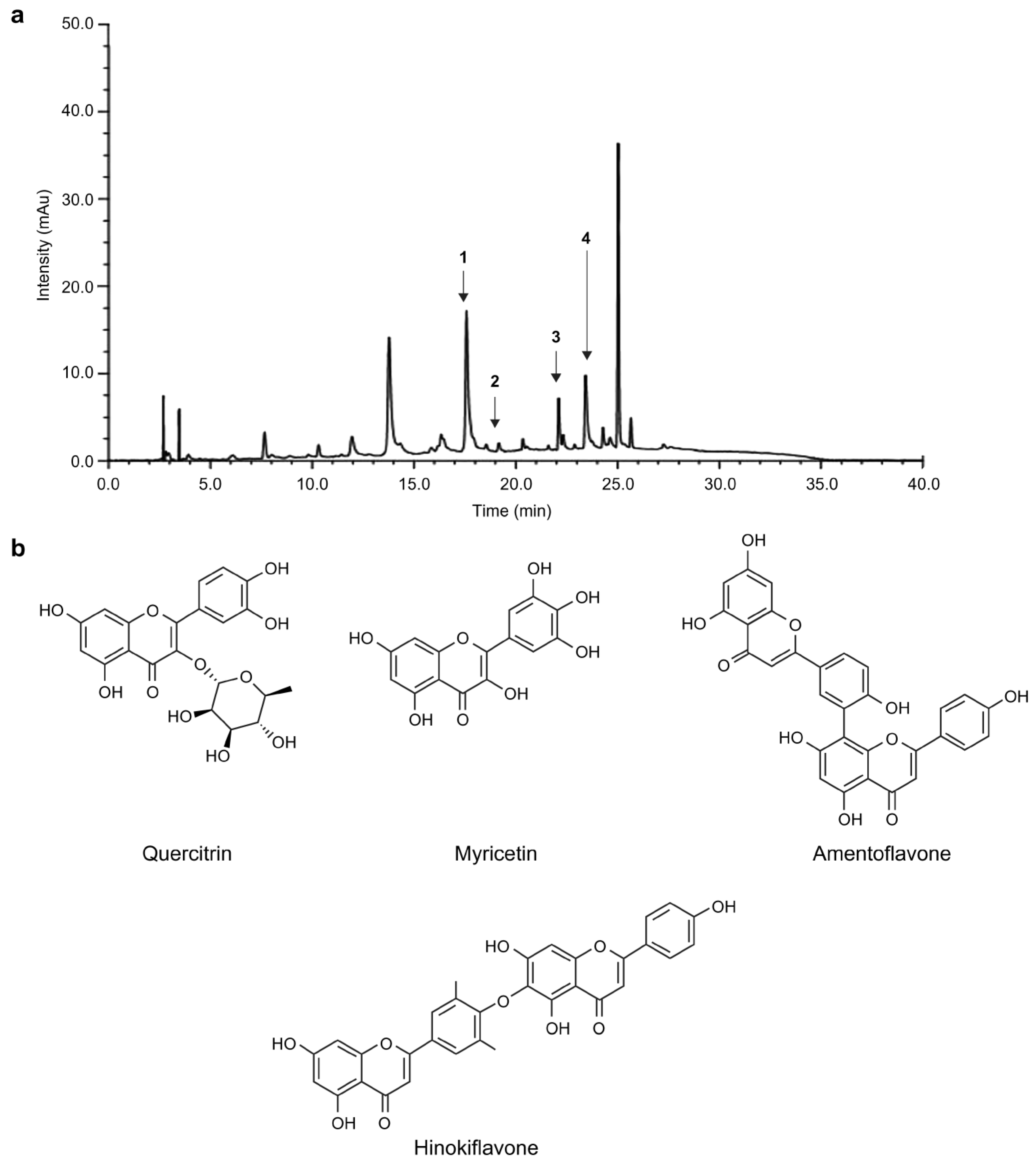 Medicina 59 00755 g004