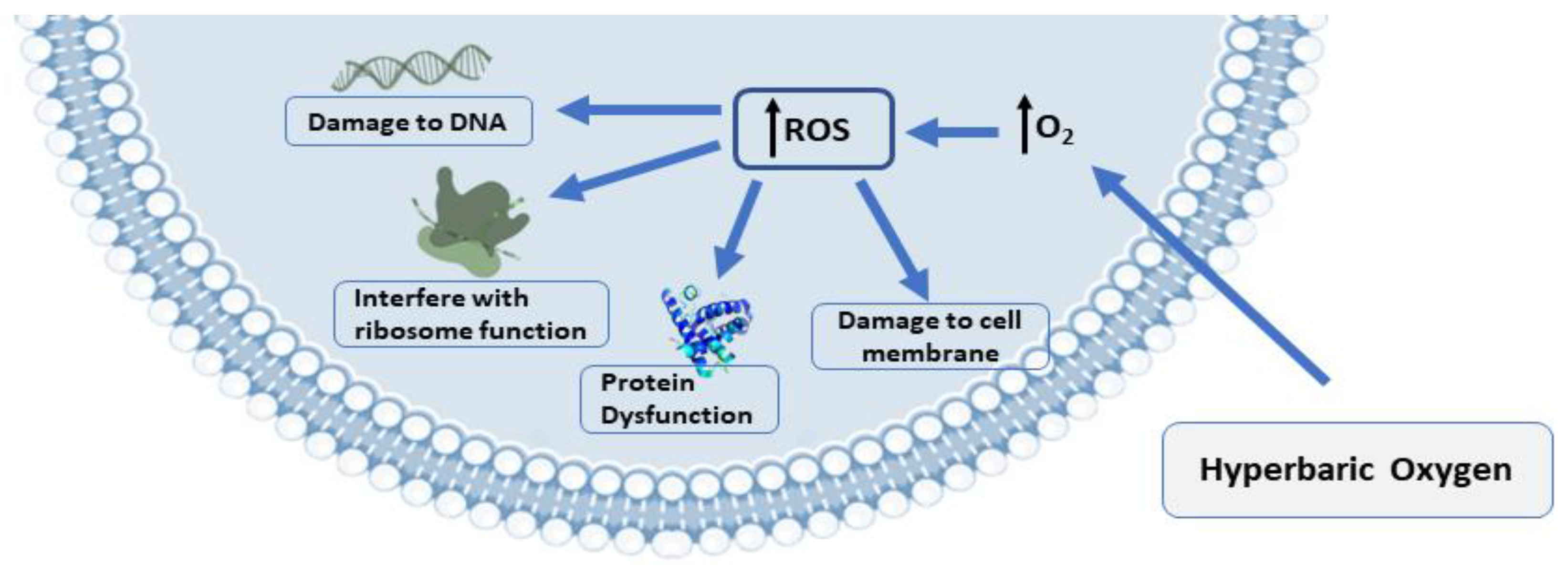 Medicina 59 00762 g002 Medicina 59 00762 g002