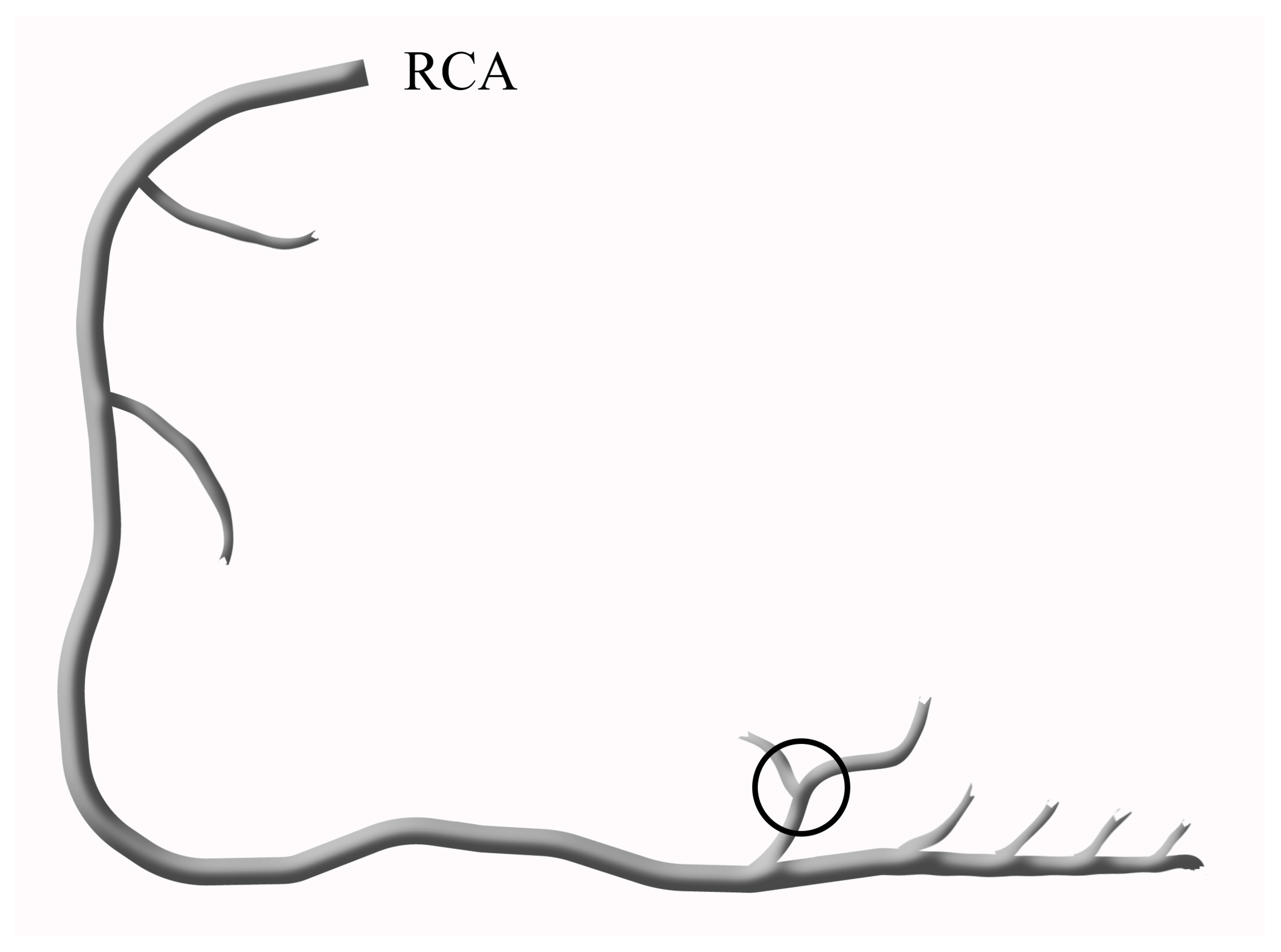 Medicina 59 00763 g002 Medicina 59 00763 g002