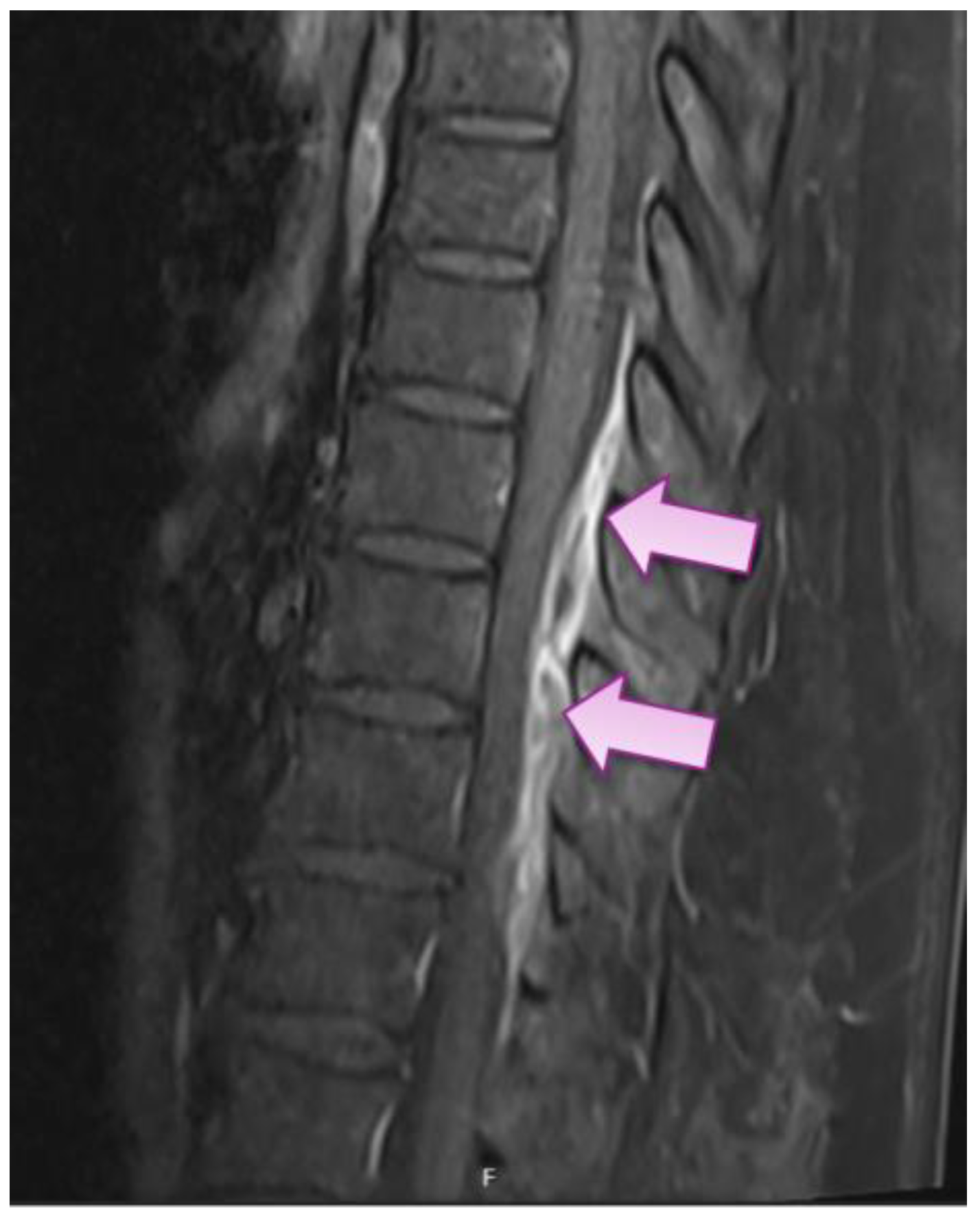 Medicina 59 00771 g002