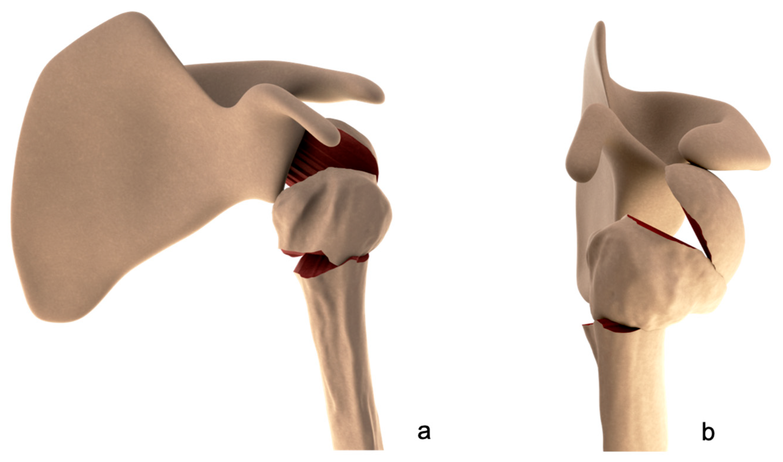 Medicina 59 00772 g002