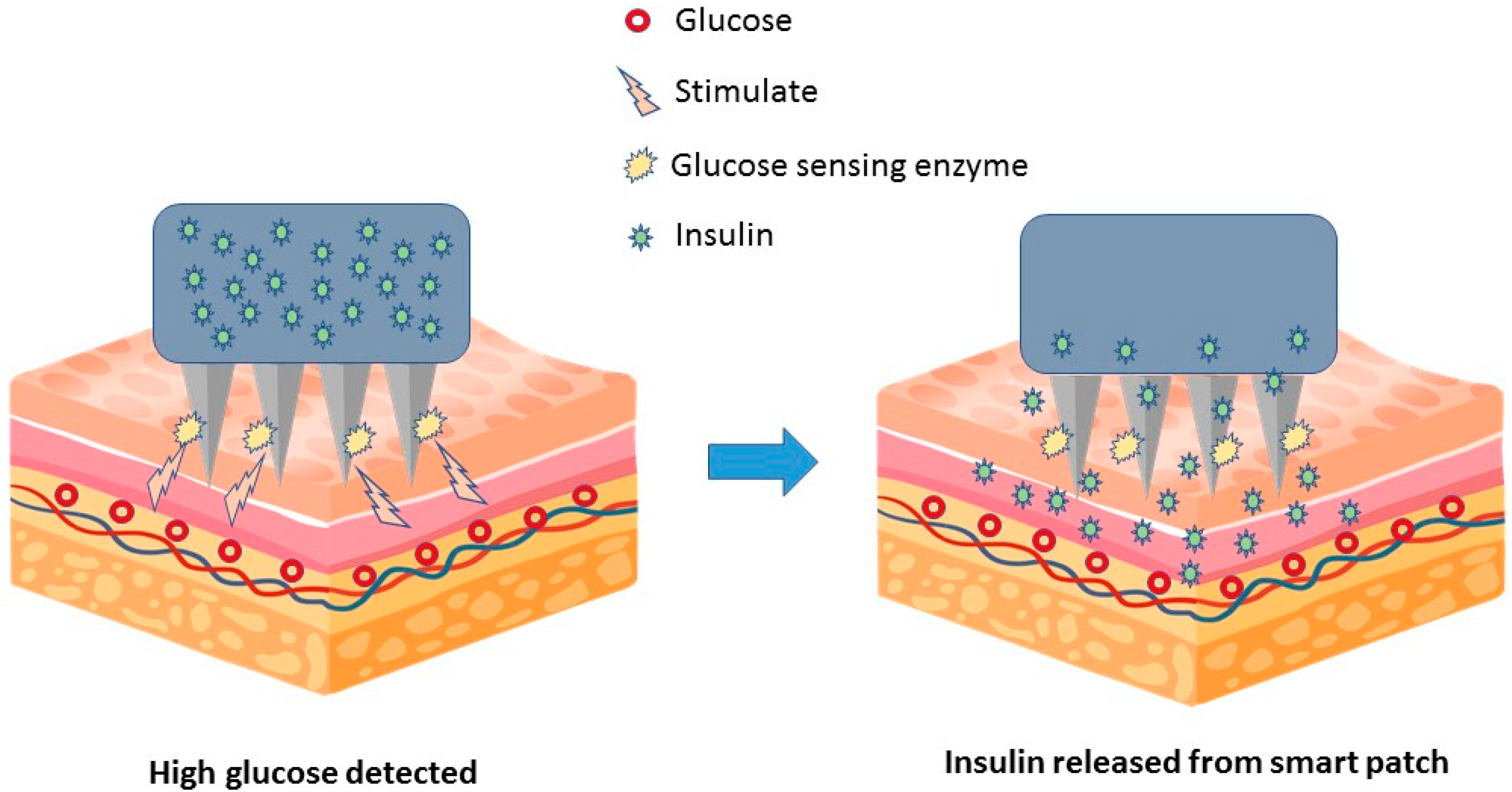 Medicina 59 00778 g004 Medicina 59 00778 g004