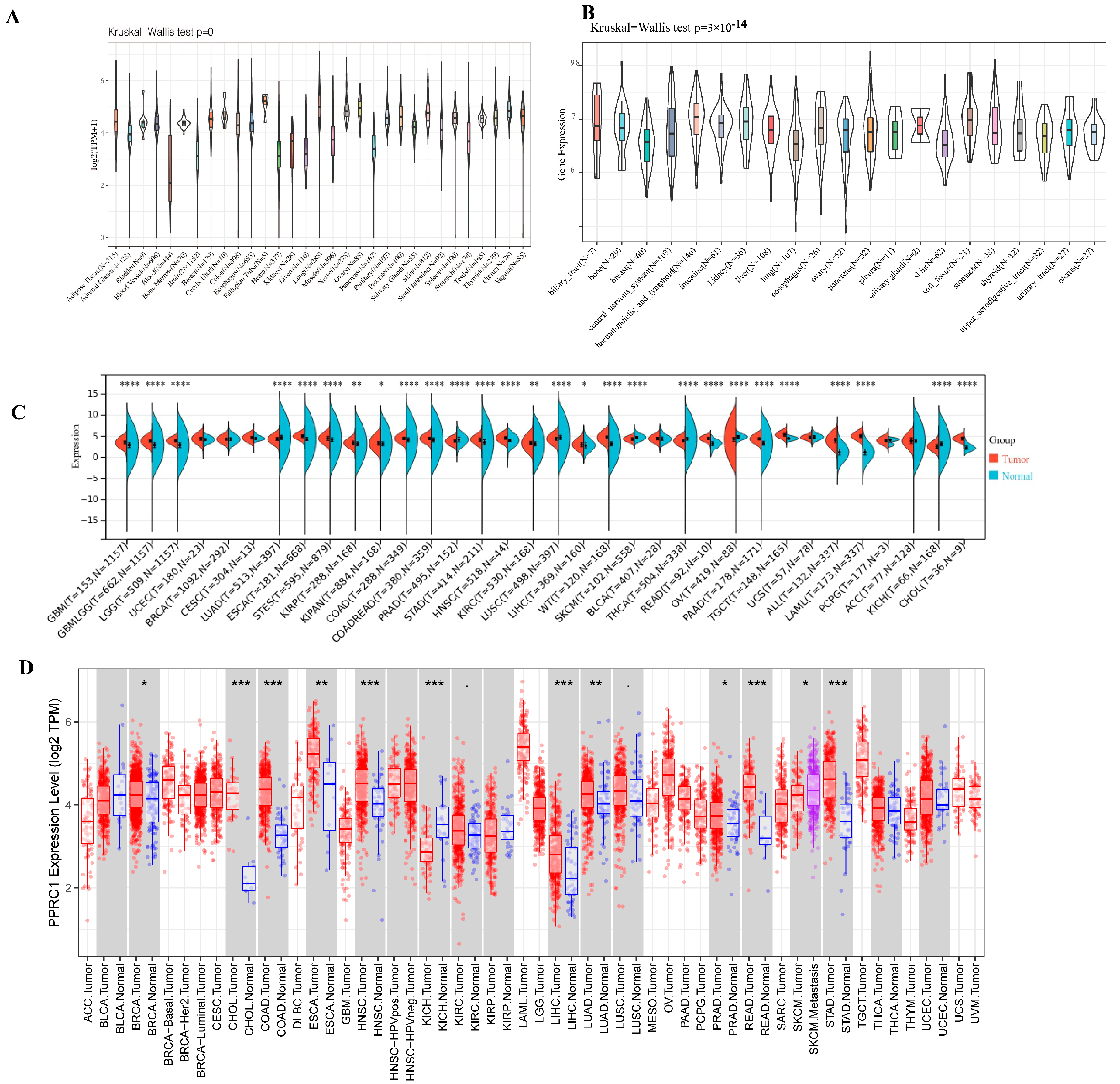 Medicina 59 00784 g001
