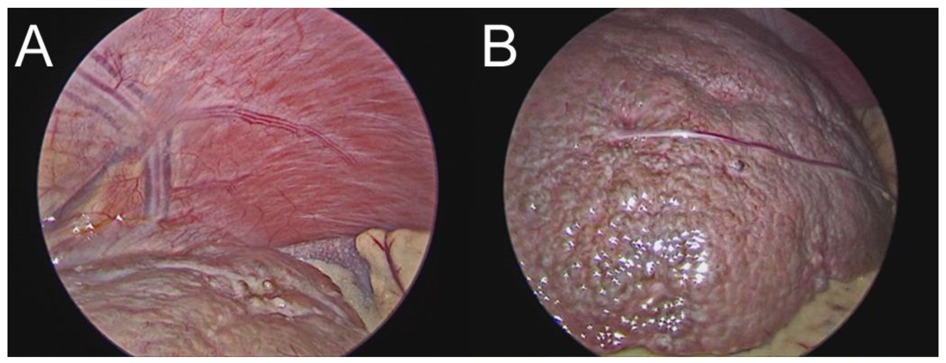 Medicina 59 00786 g002