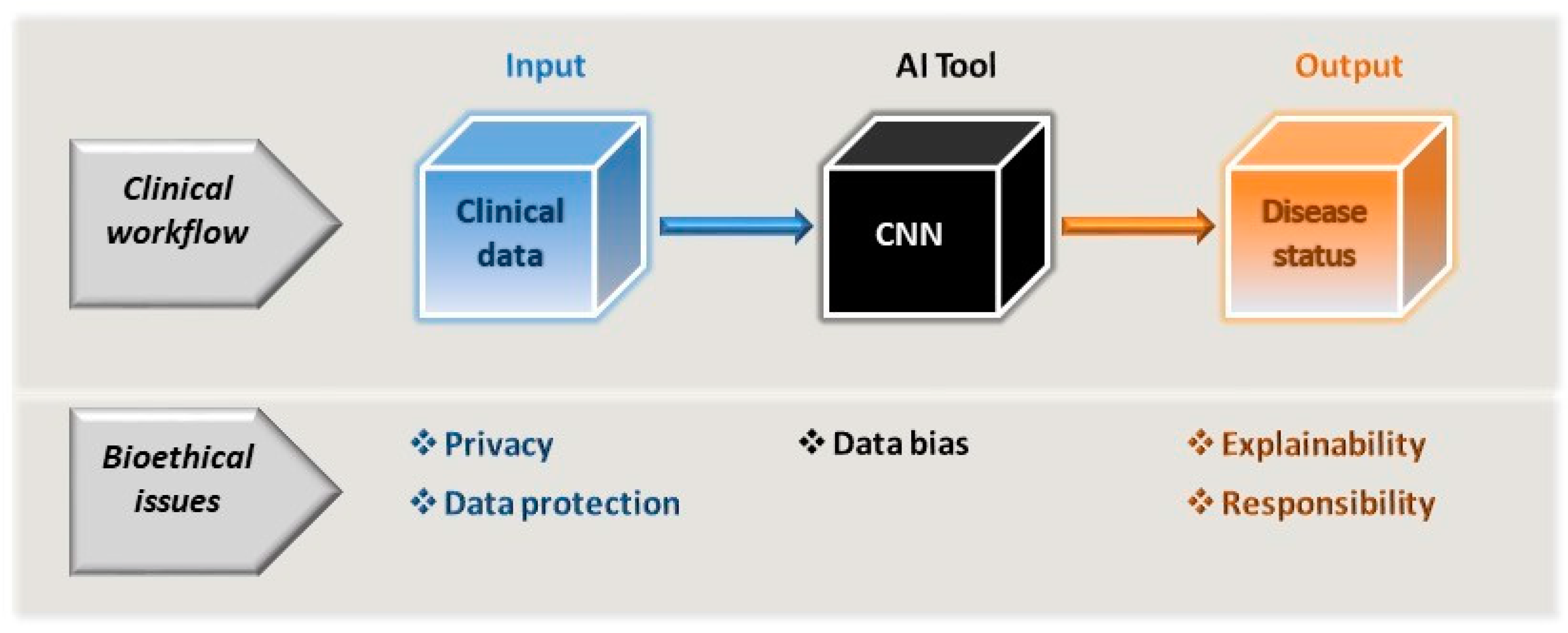 Medicina 59 00790 g002