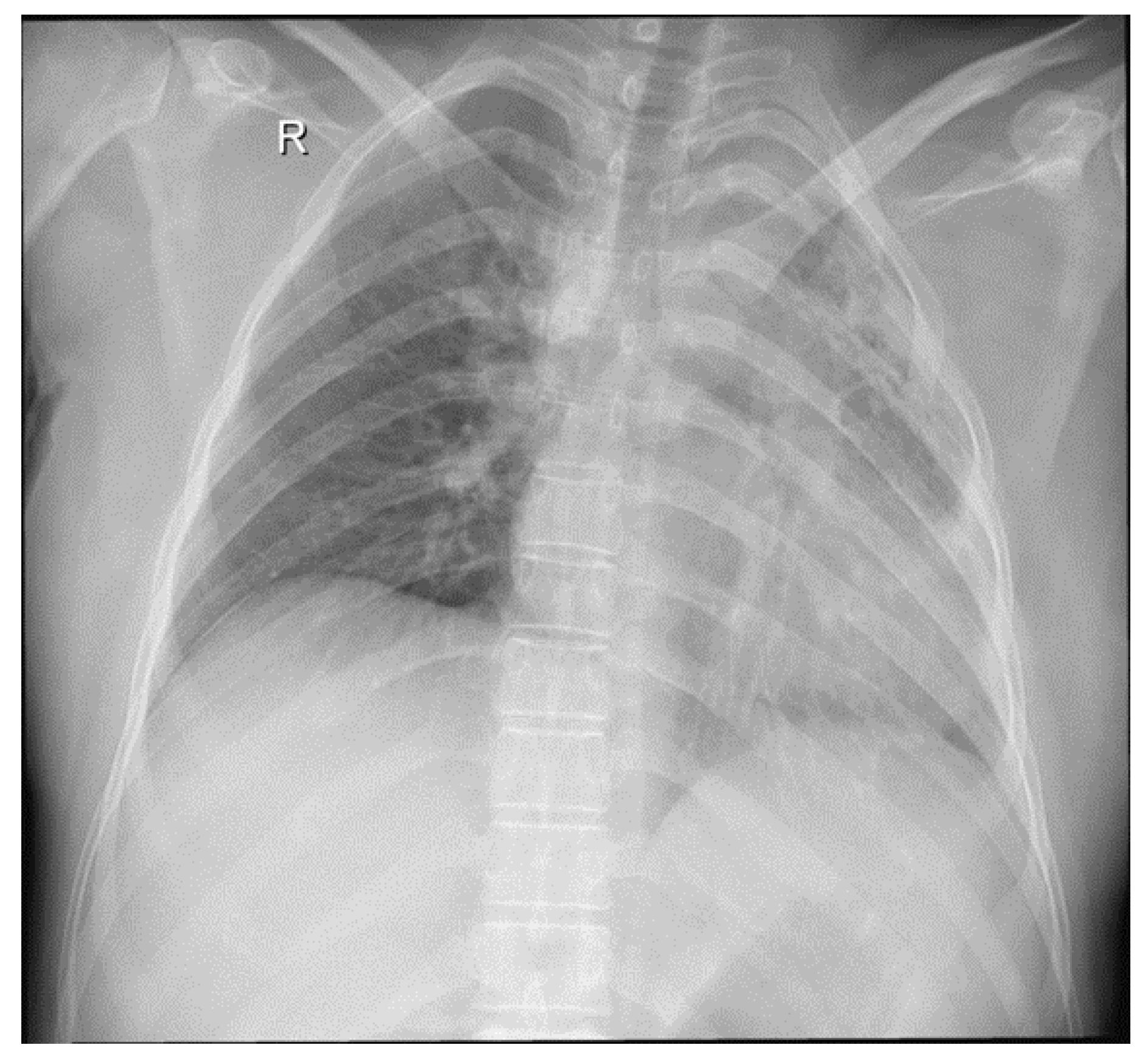 Medicina 59 00806 g001 Medicina 59 00806 g001