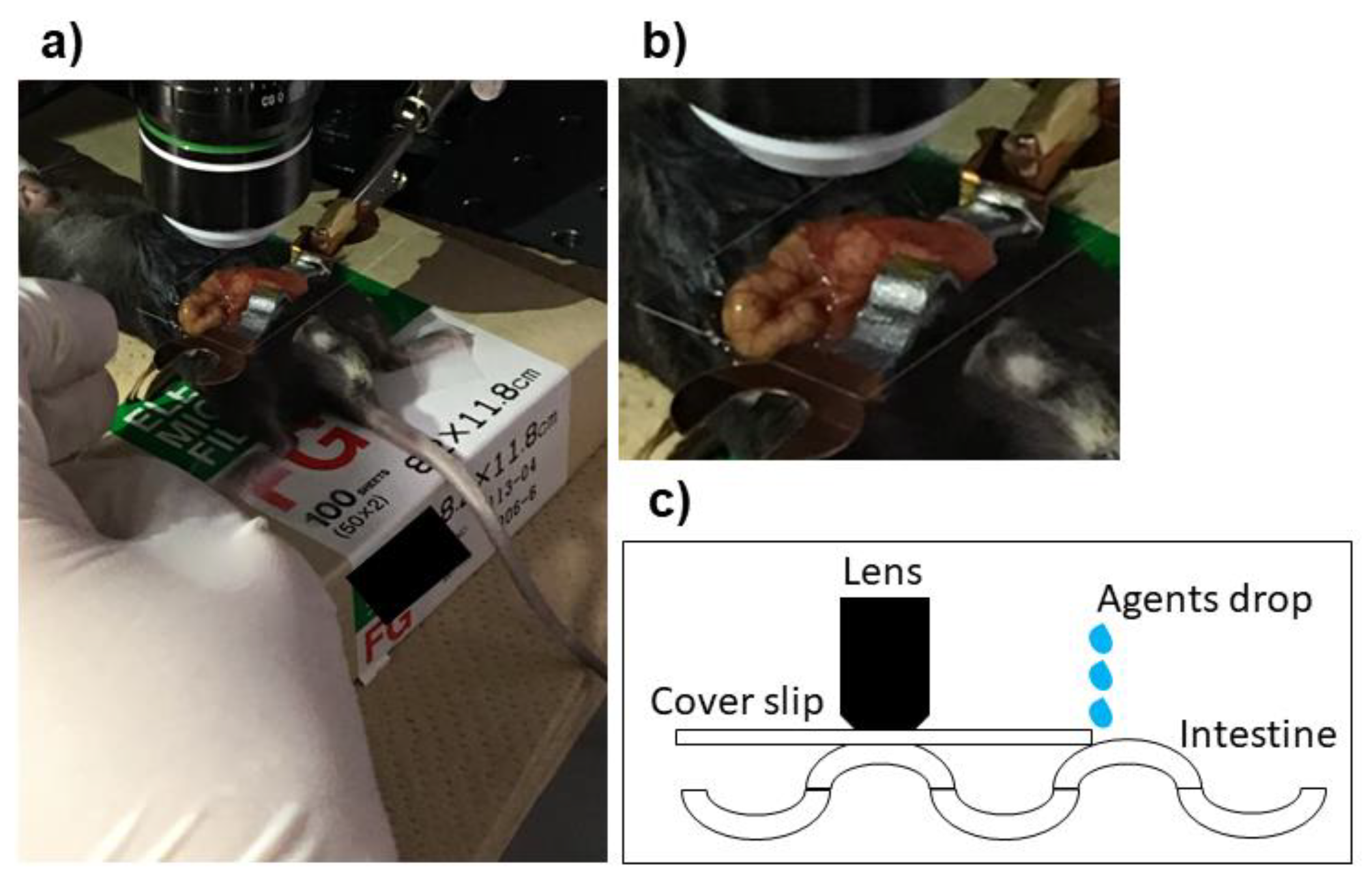 Medicina 59 00809 g001
