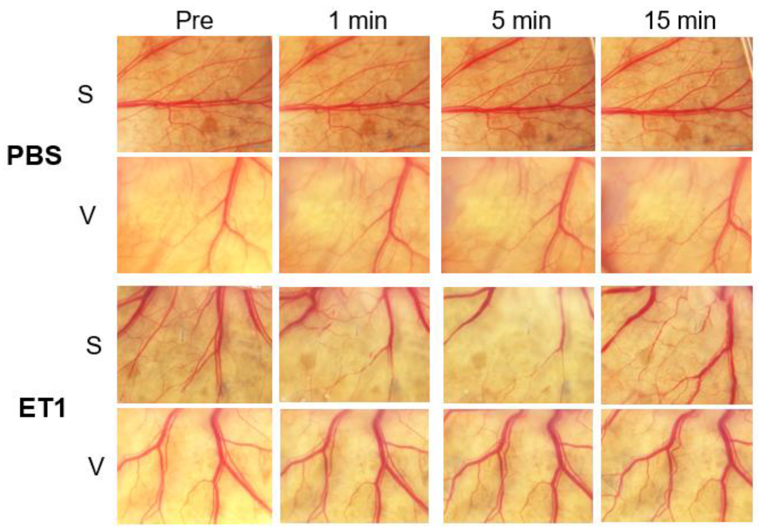 Medicina 59 00809 g003