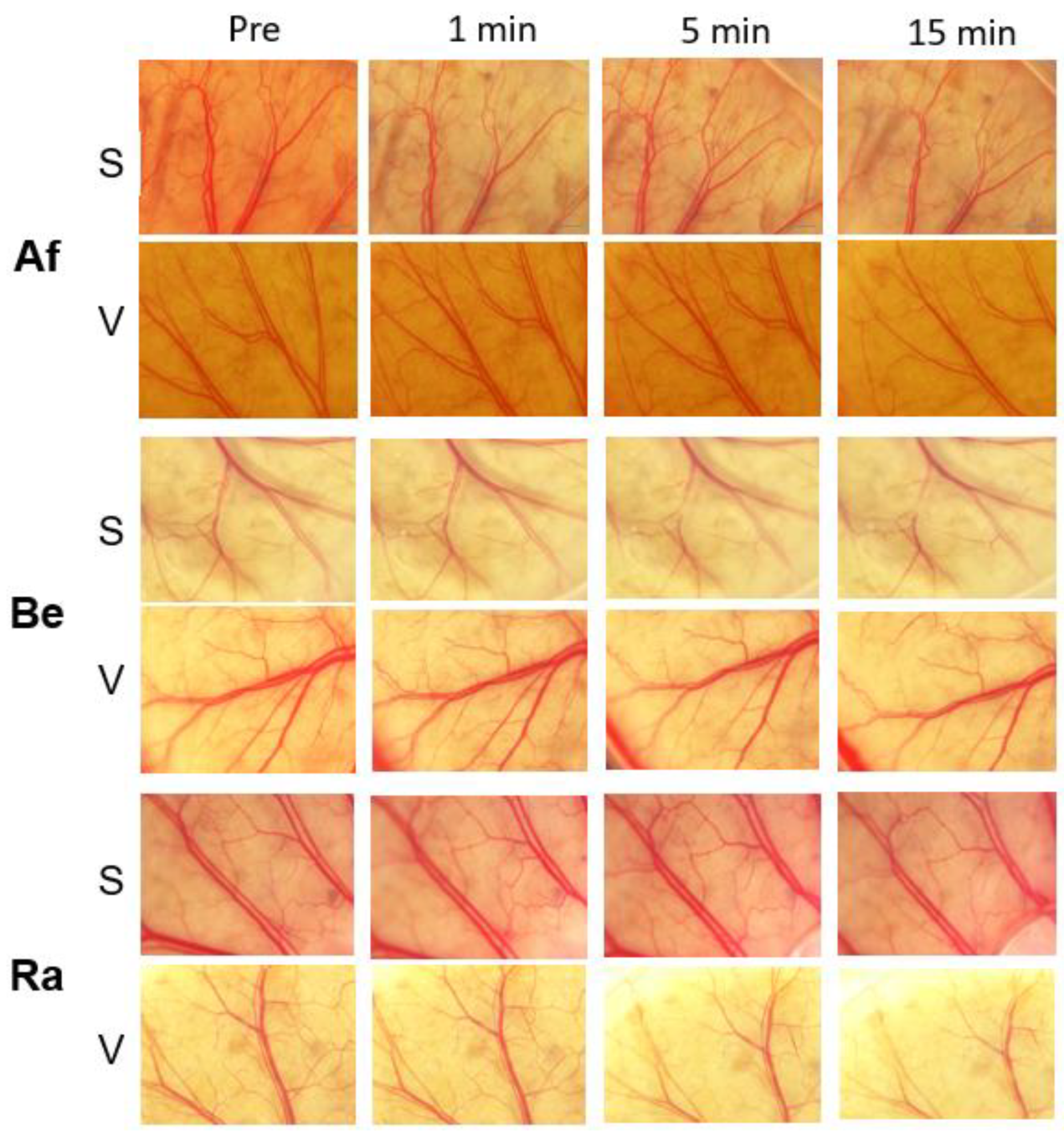 Medicina 59 00809 g004