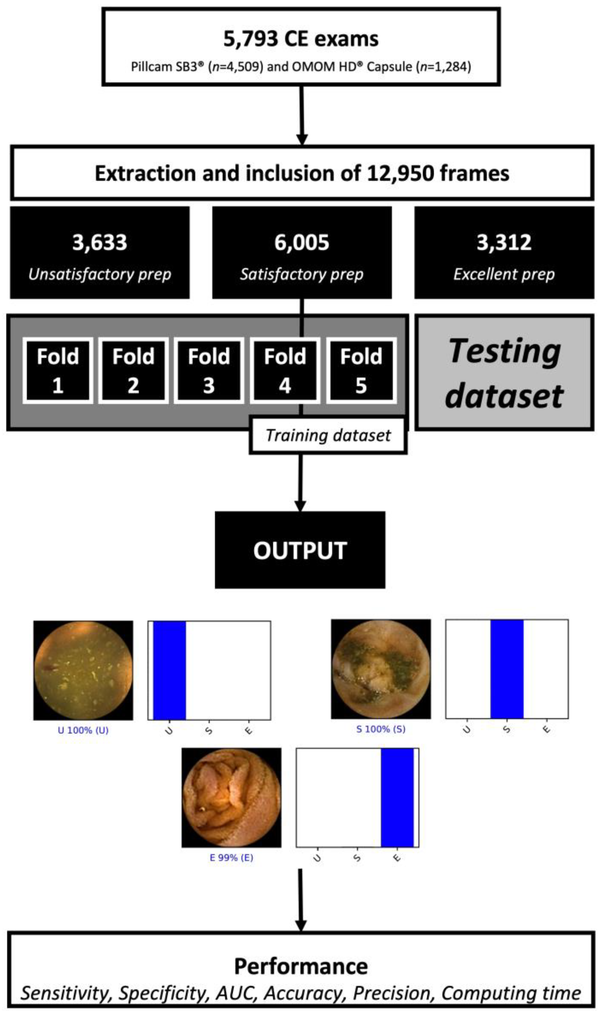 Medicina 59 00810 g001