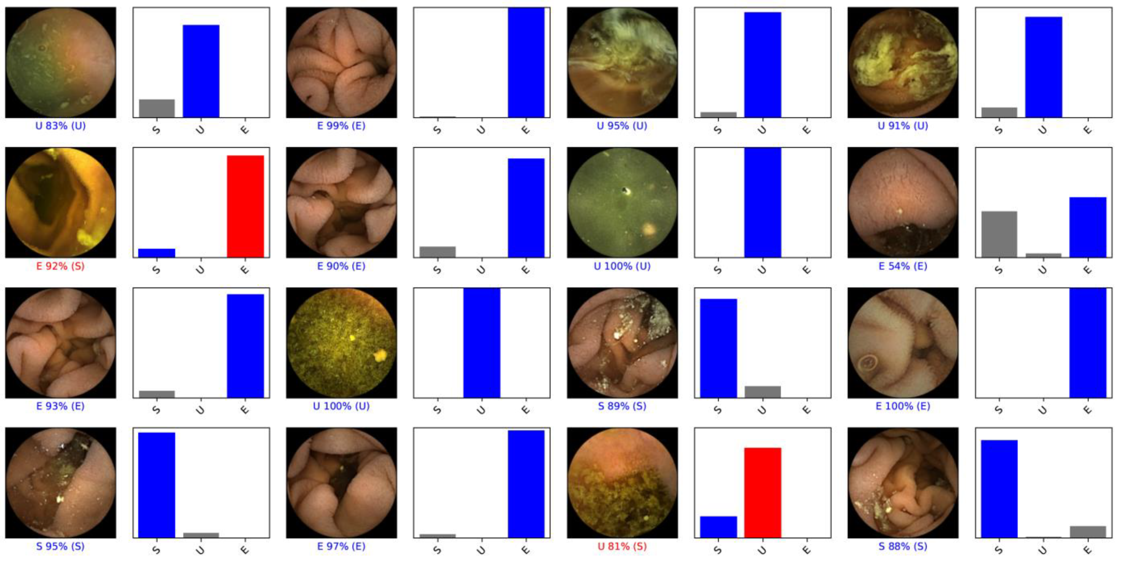 Medicina 59 00810 g002