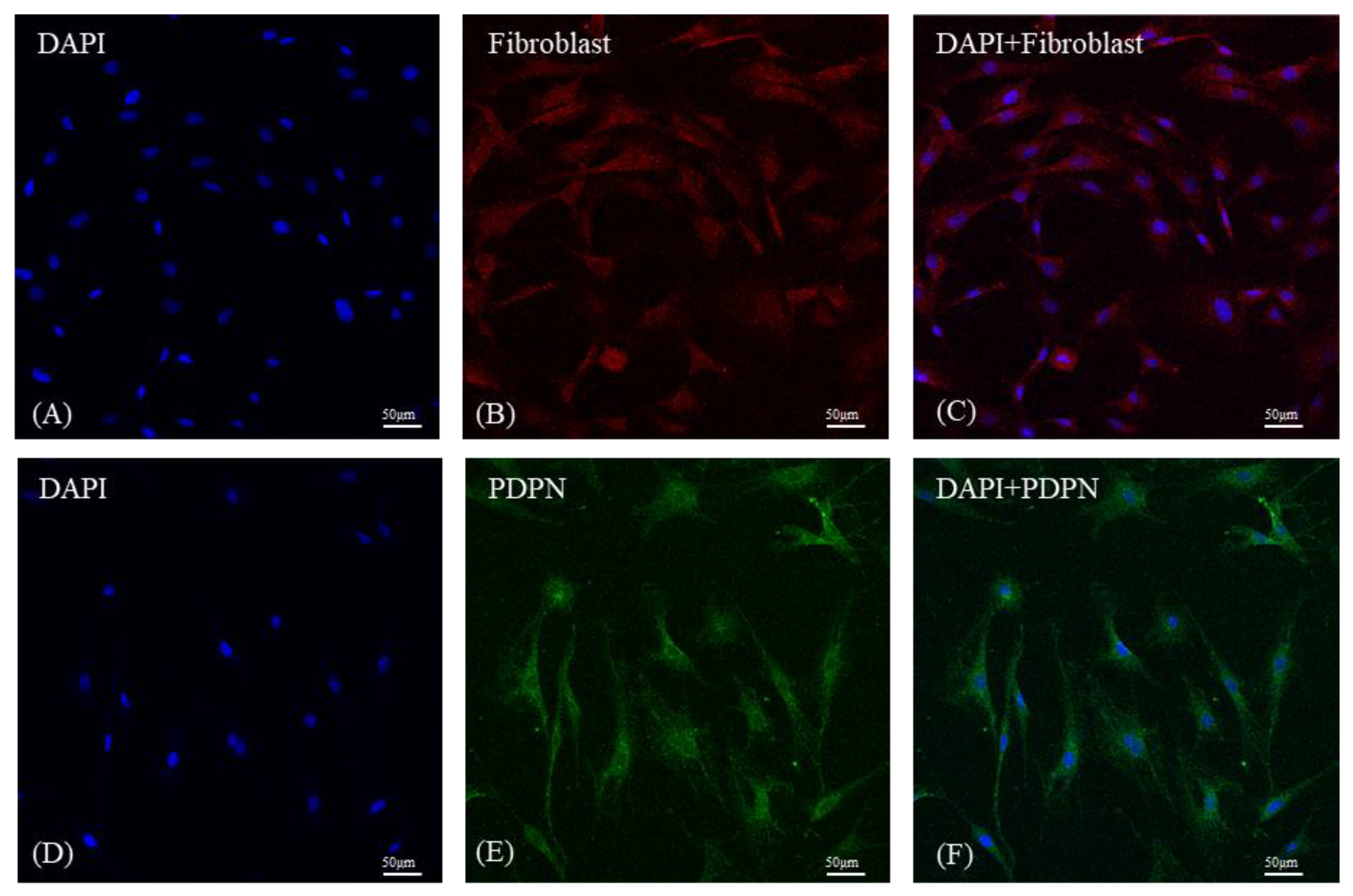 Medicina 59 00811 g001
