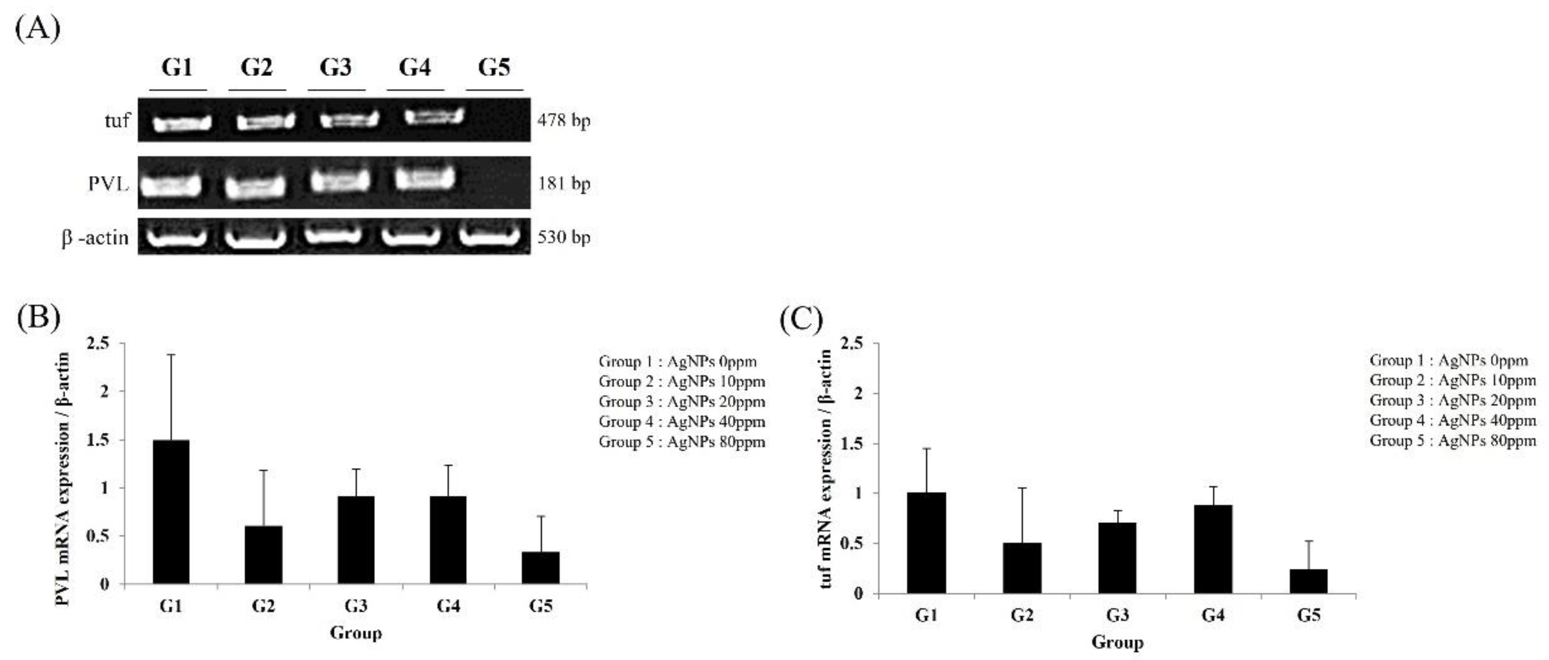 Medicina 59 00811 g005
