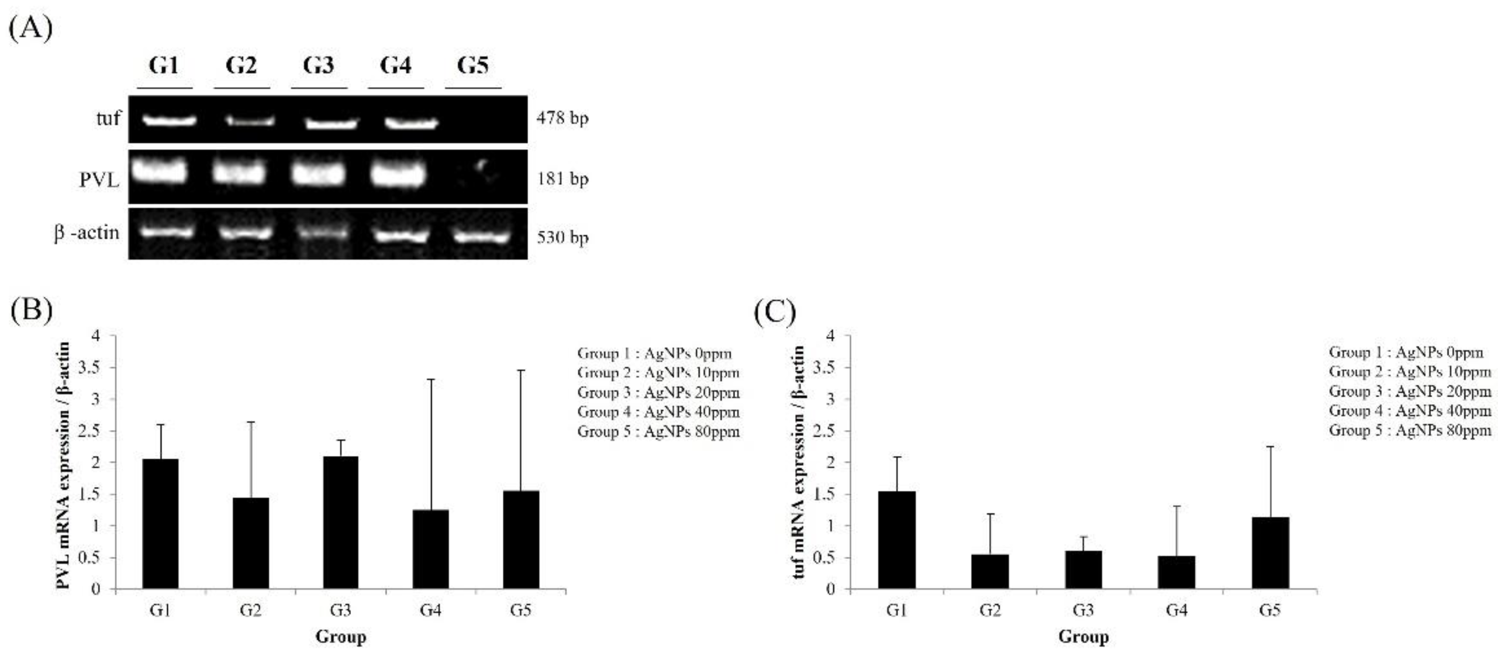 Medicina 59 00811 g006
