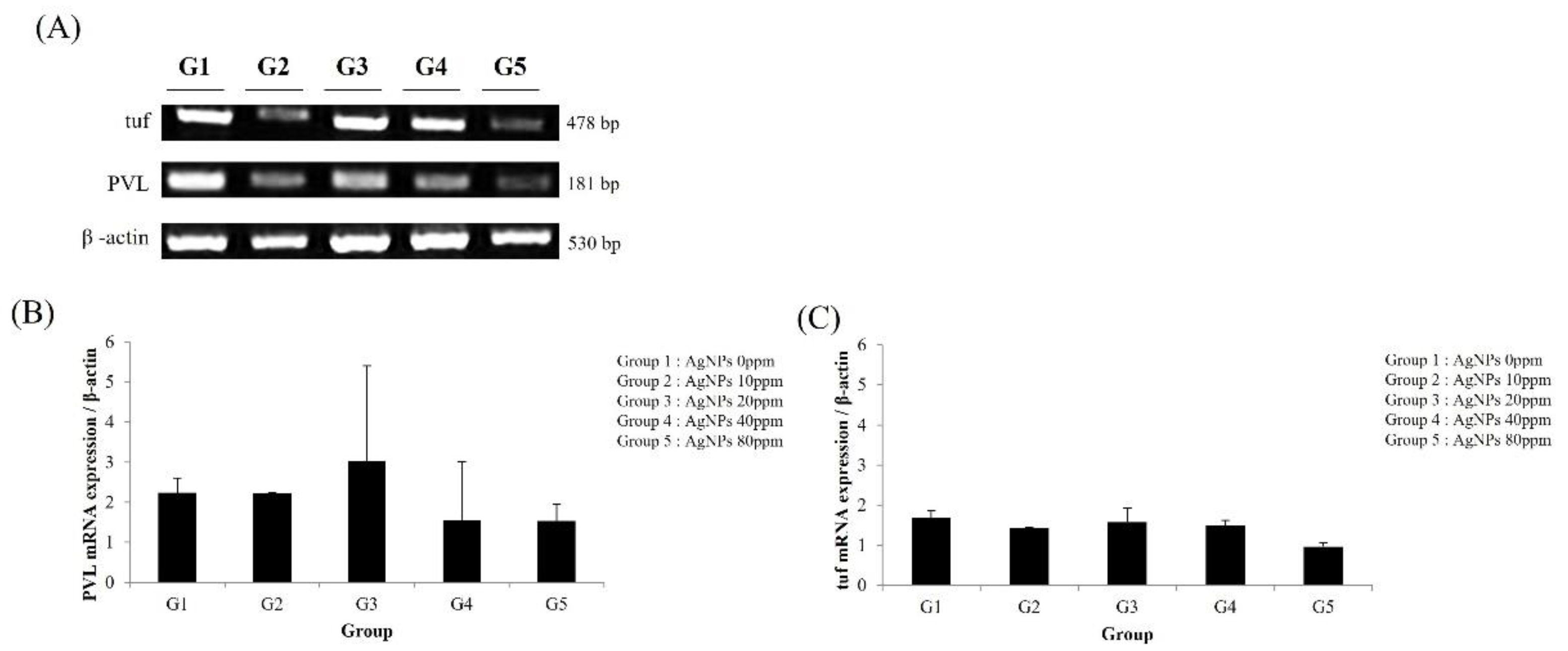 Medicina 59 00811 g007