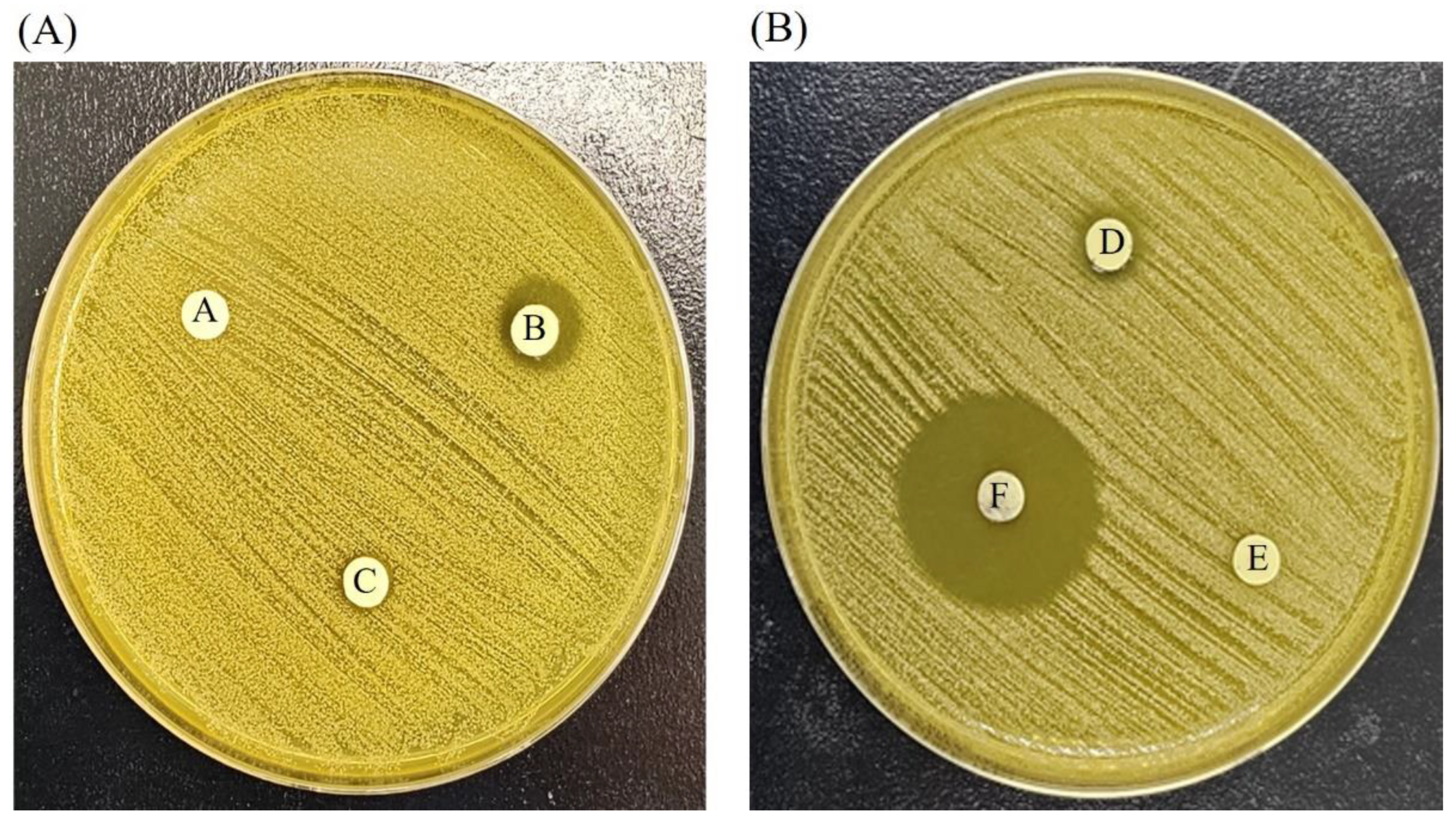 Medicina 59 00811 g010