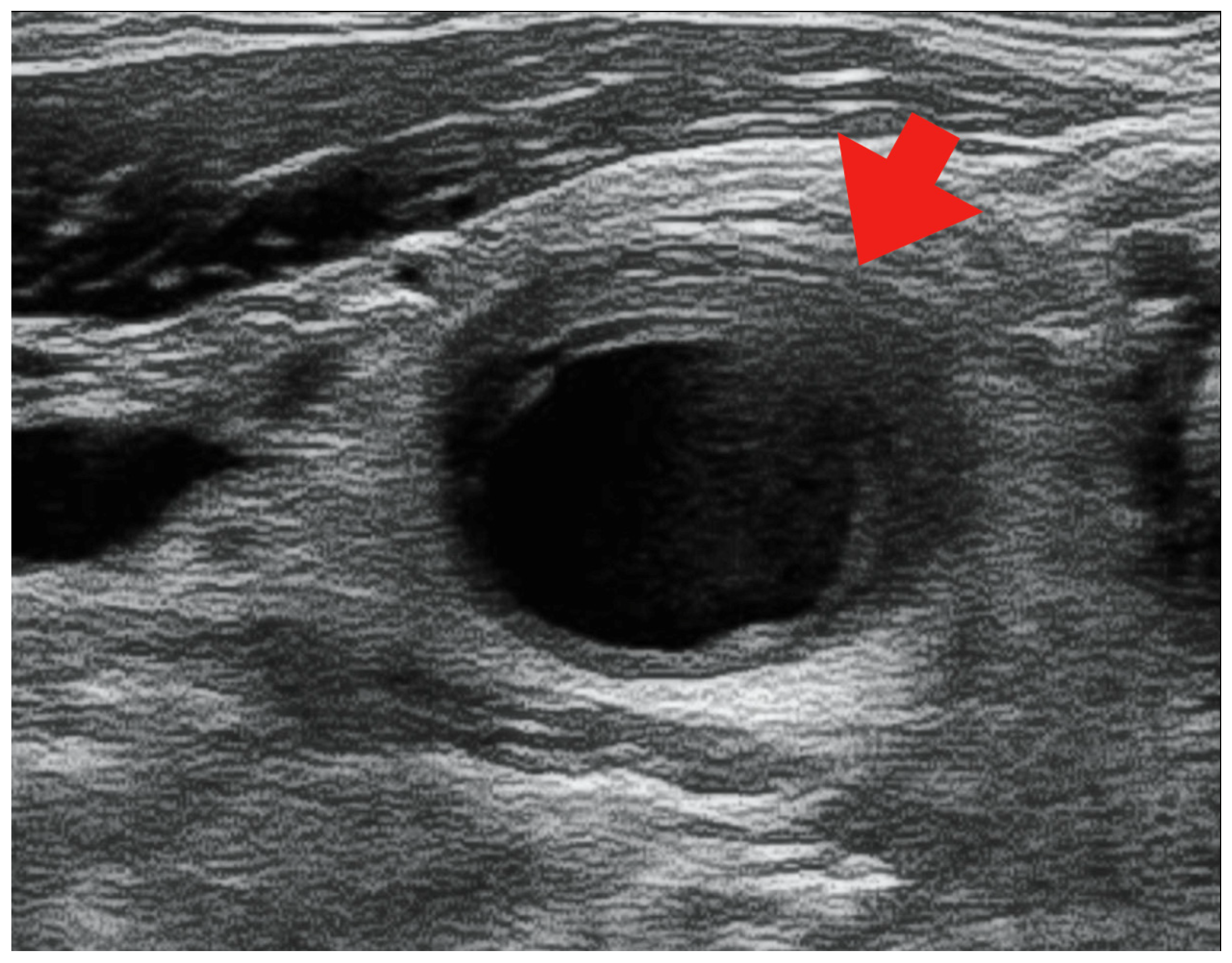 Medicina 59 00816 g002