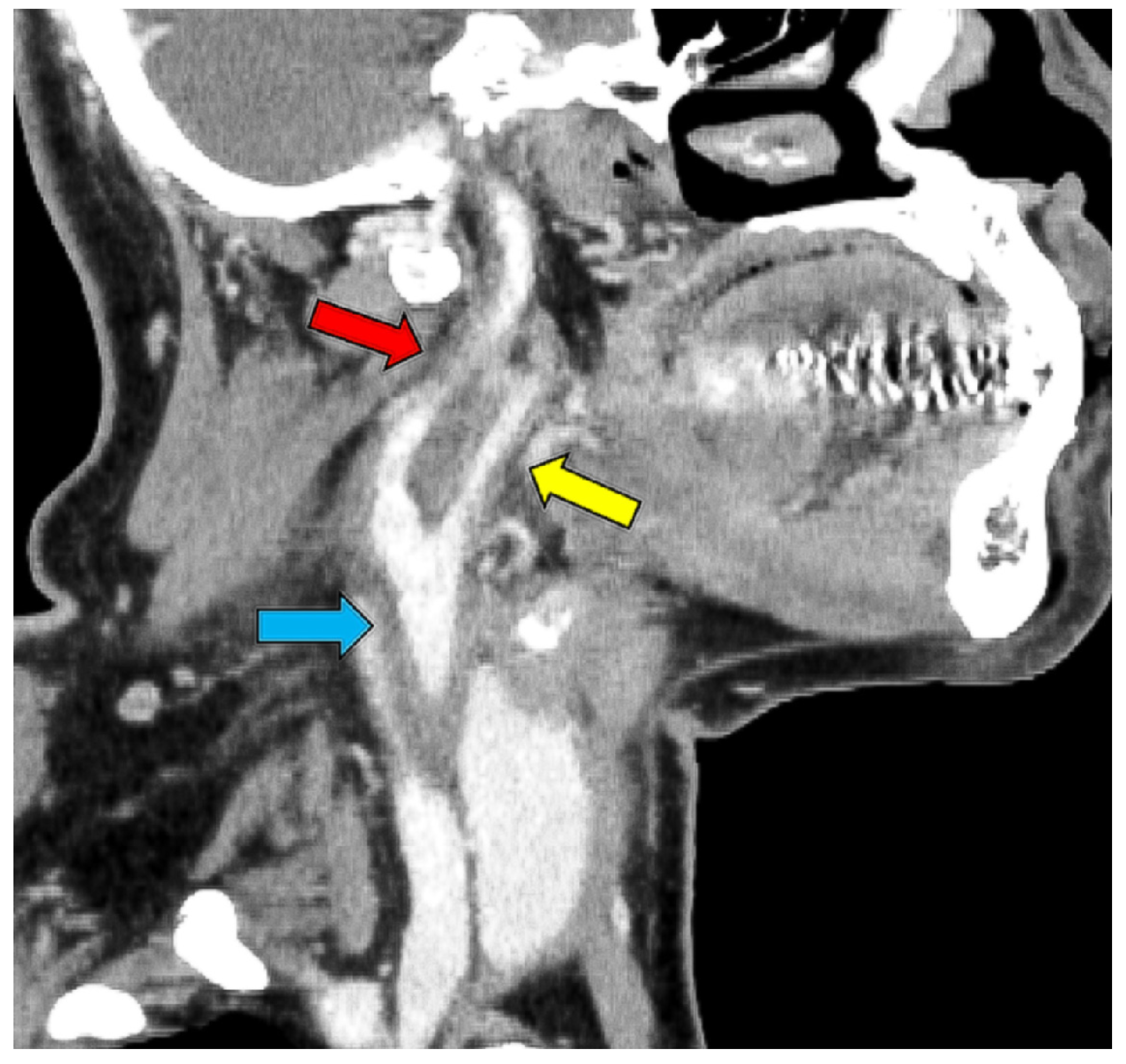 Medicina 59 00816 g003