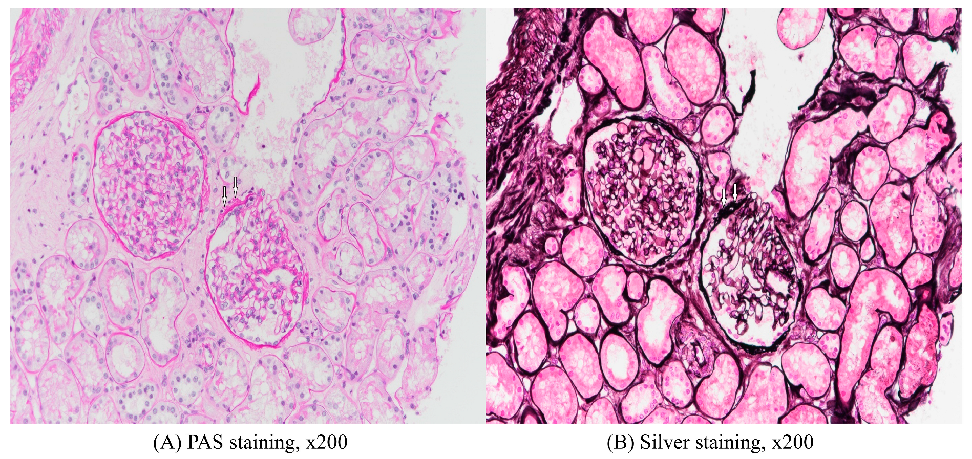 Medicina 59 00819 g003