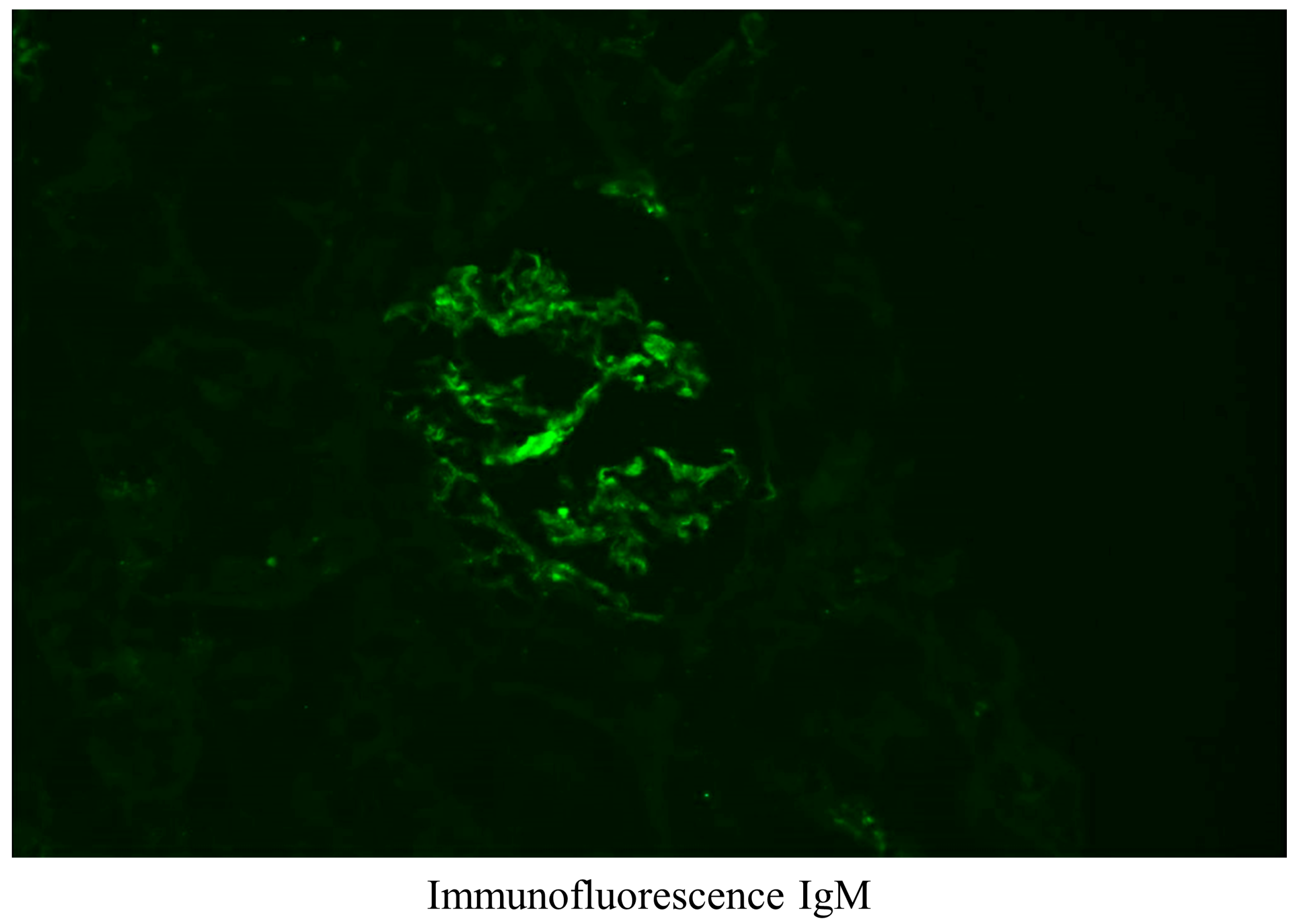 Medicina 59 00819 g004