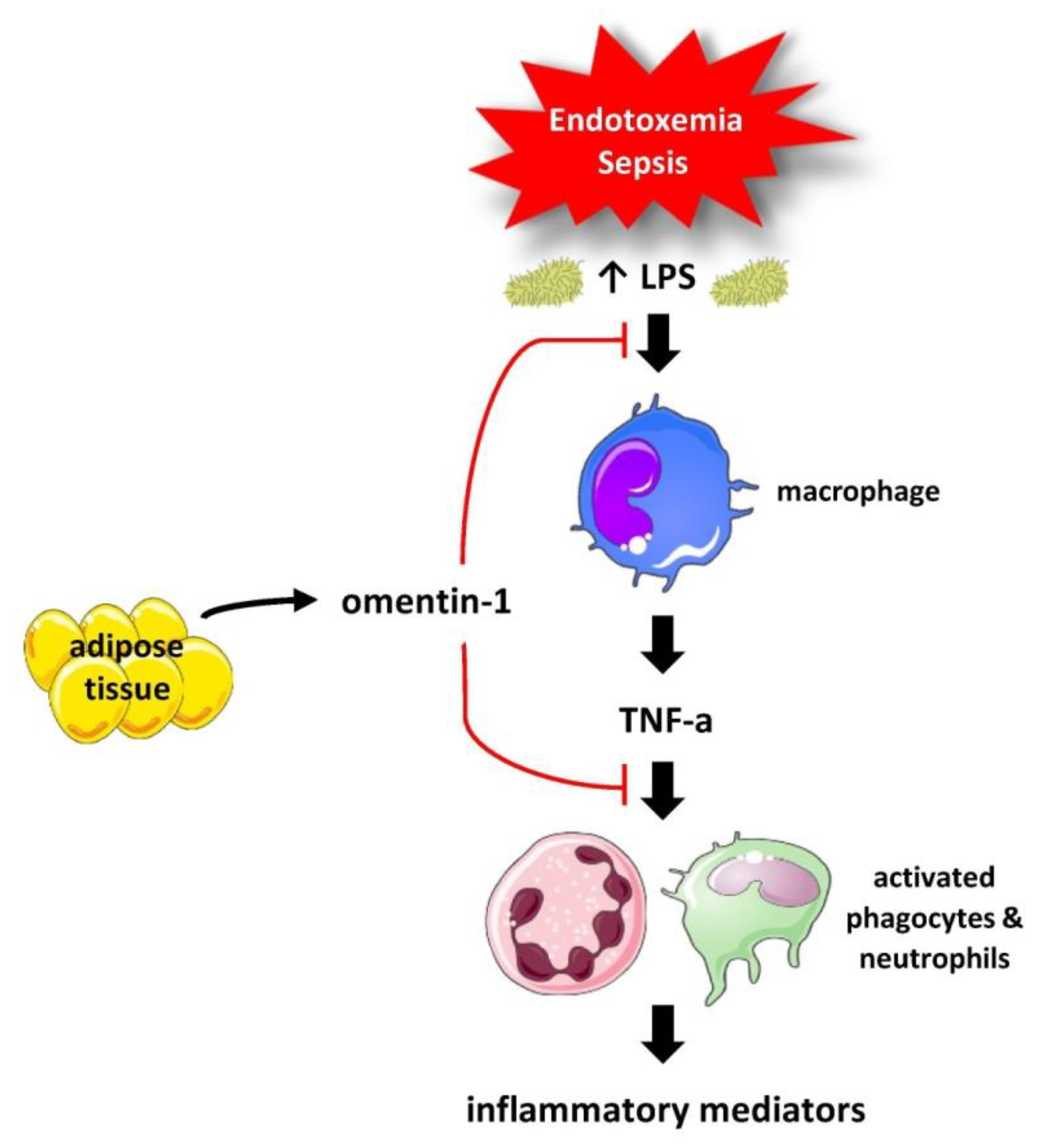 Medicina 59 00833 g007