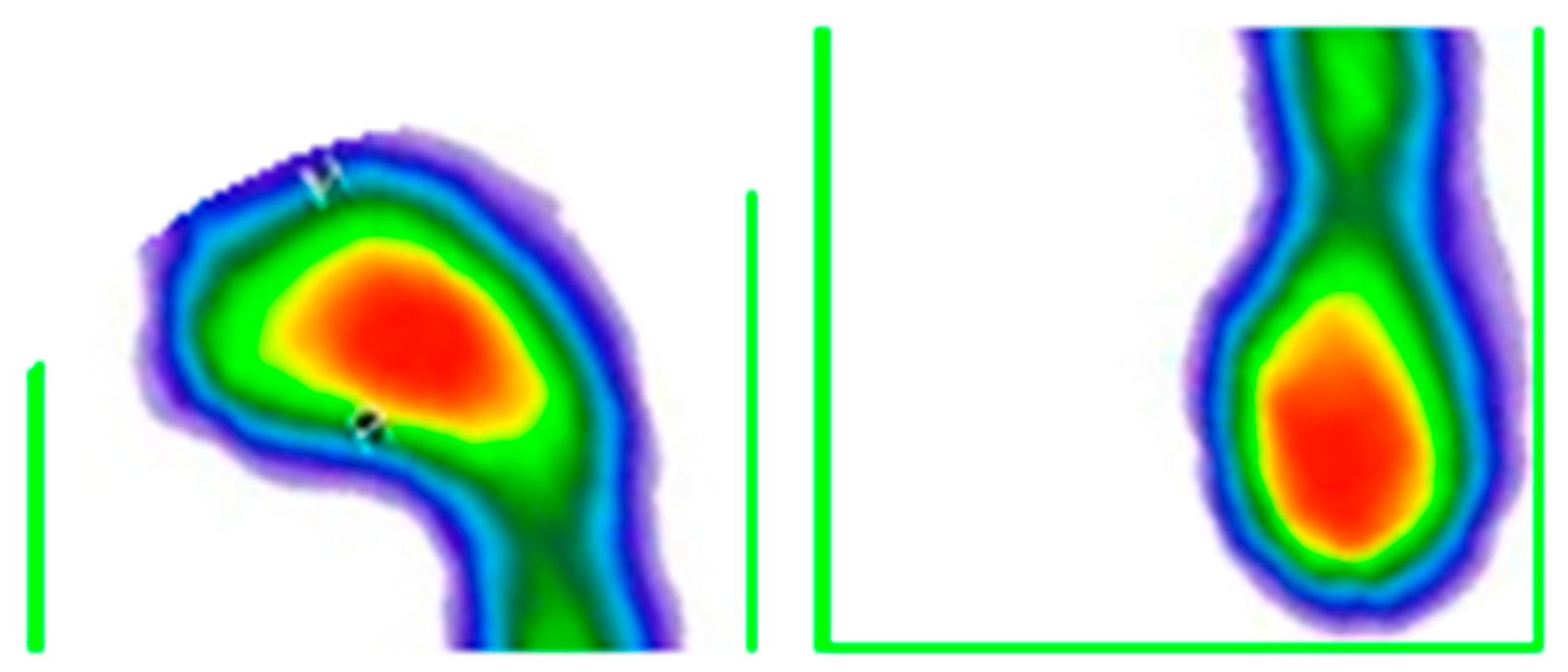 Medicina 59 00840 g009