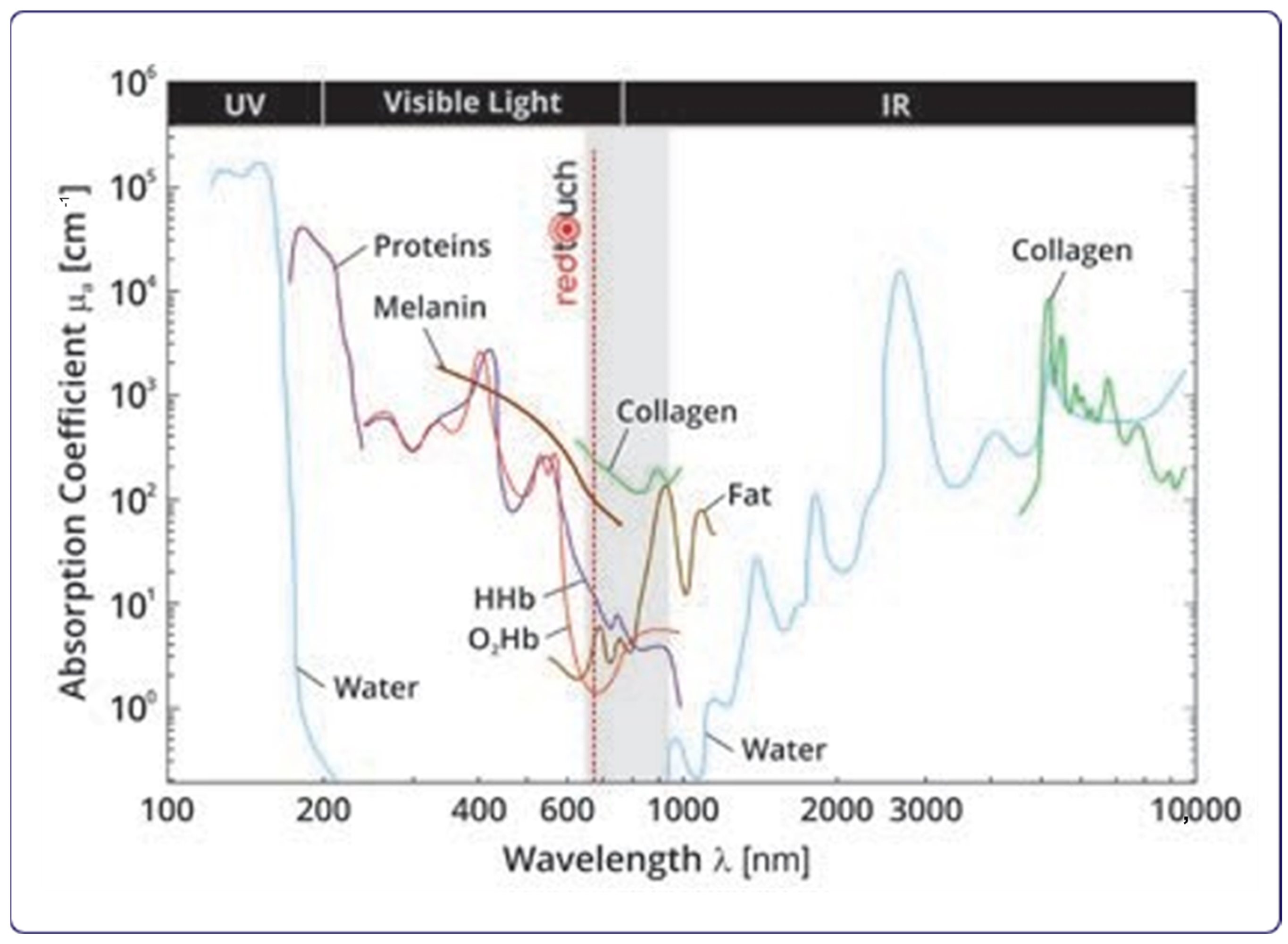 Medicina 59 00841 g005