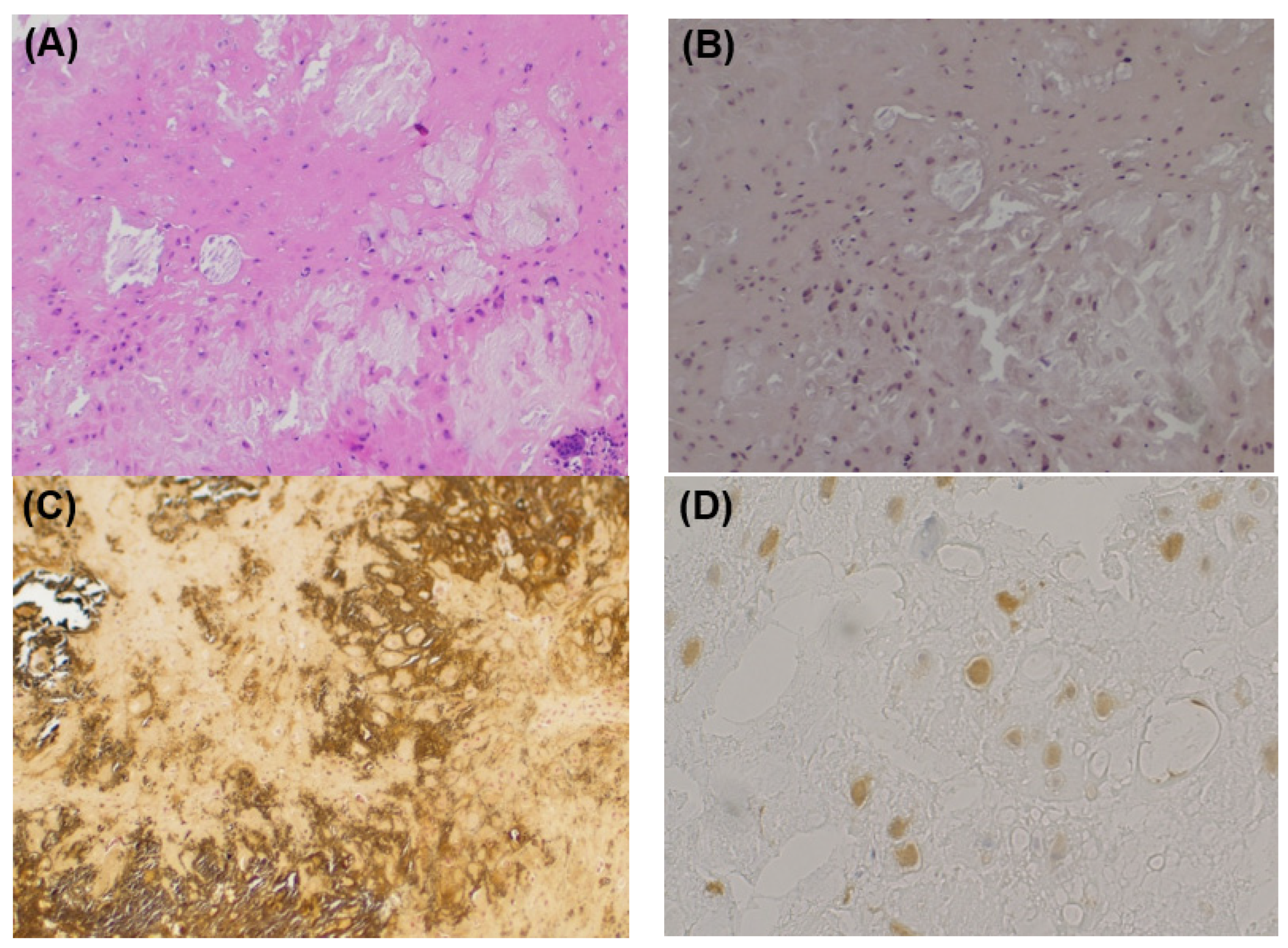 Medicina 59 00842 g003