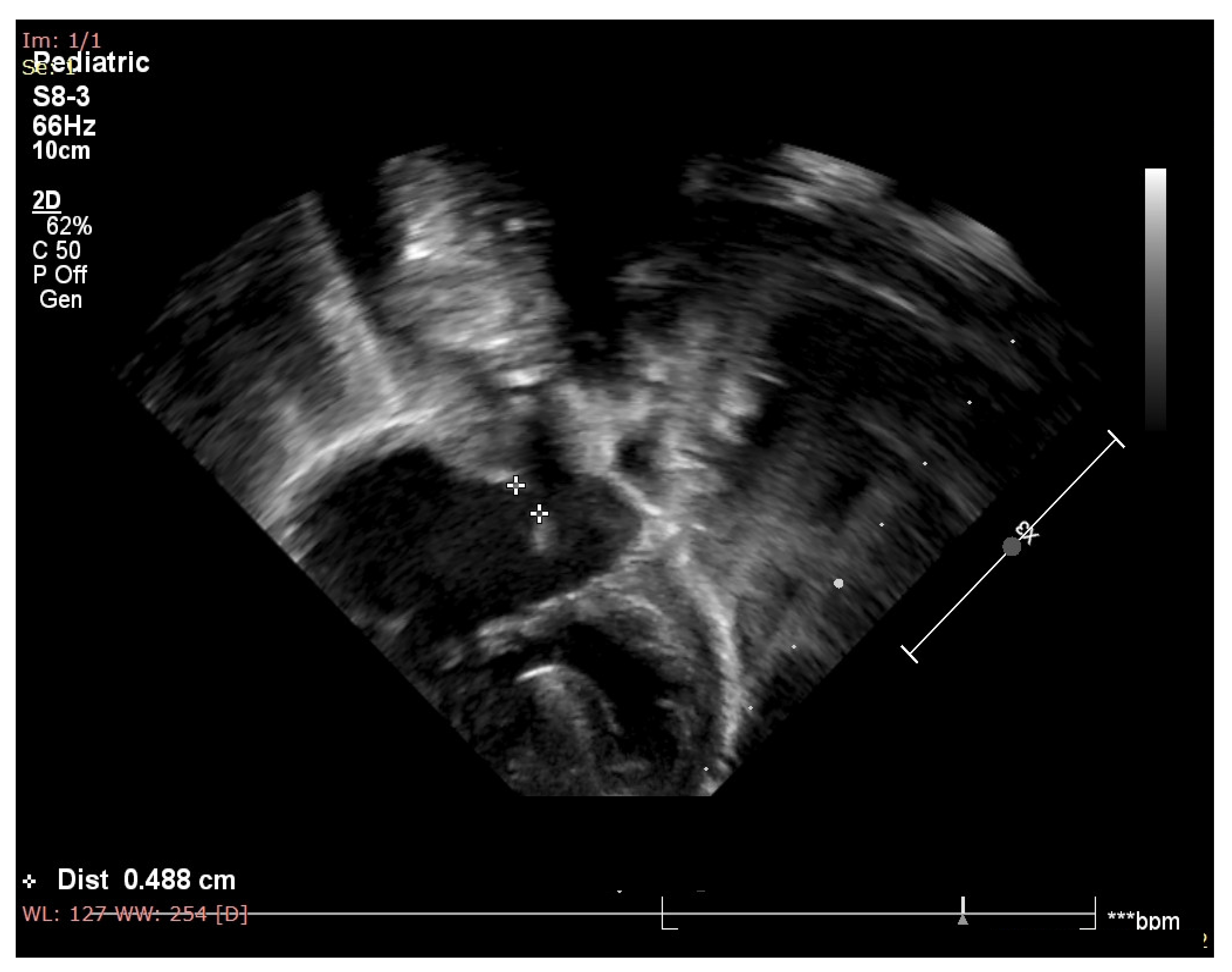 Medicina 59 00856 g001