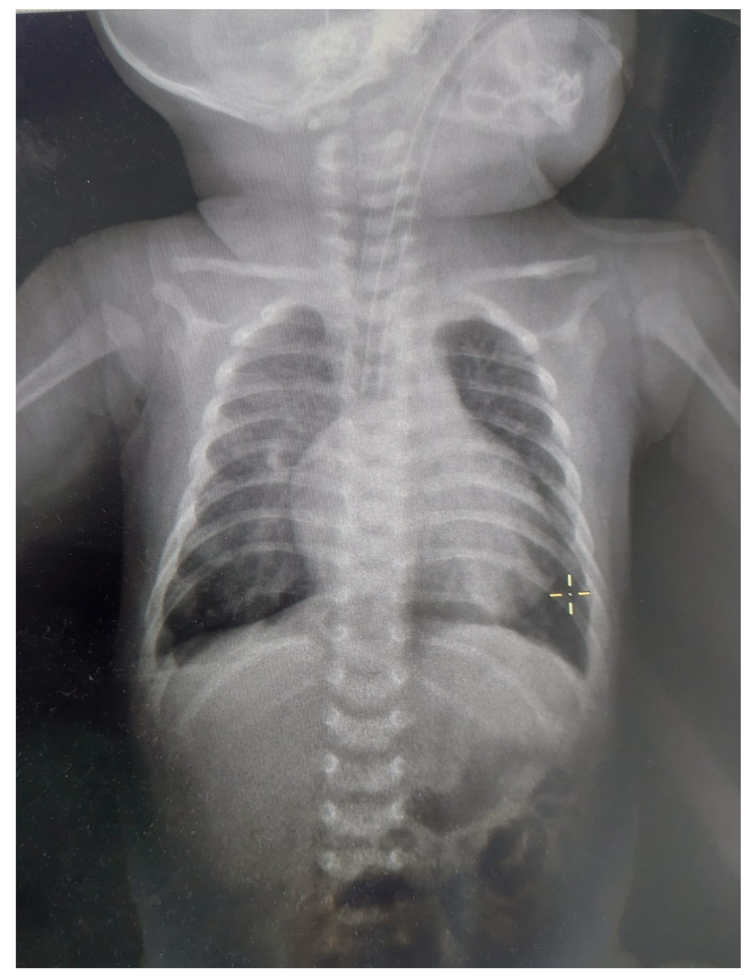 Medicina 59 00856 g002