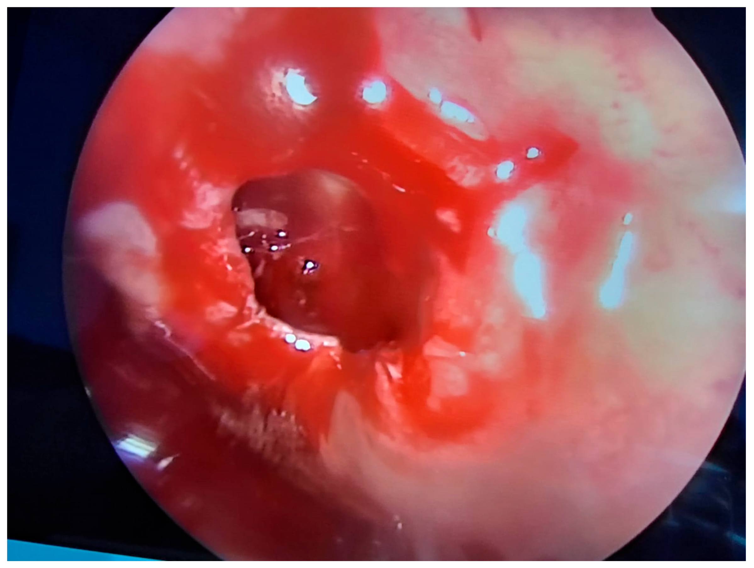 Medicina 59 00858 g002