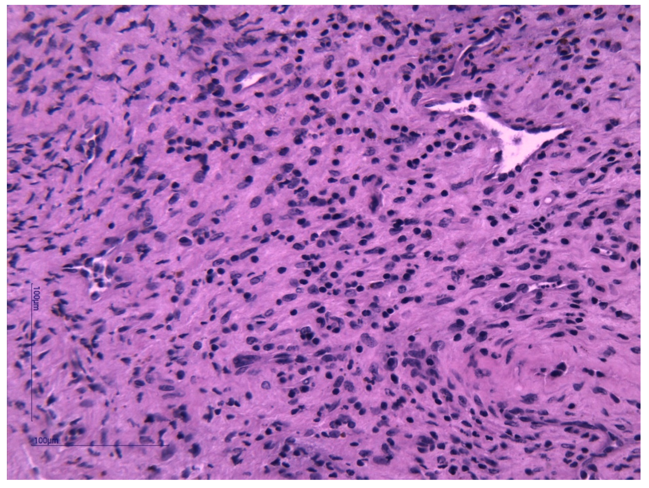 Medicina 59 00858 g003