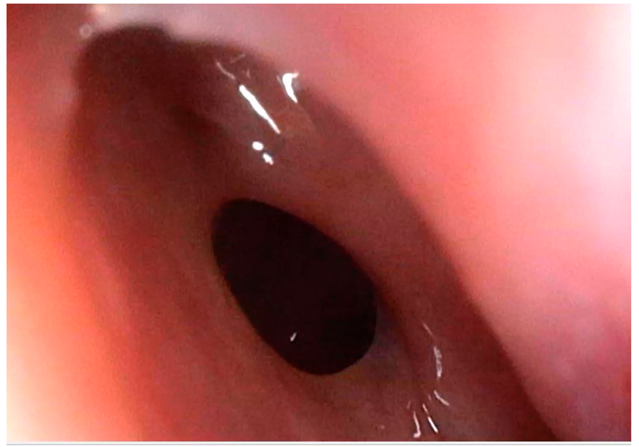 Medicina 59 00858 g005