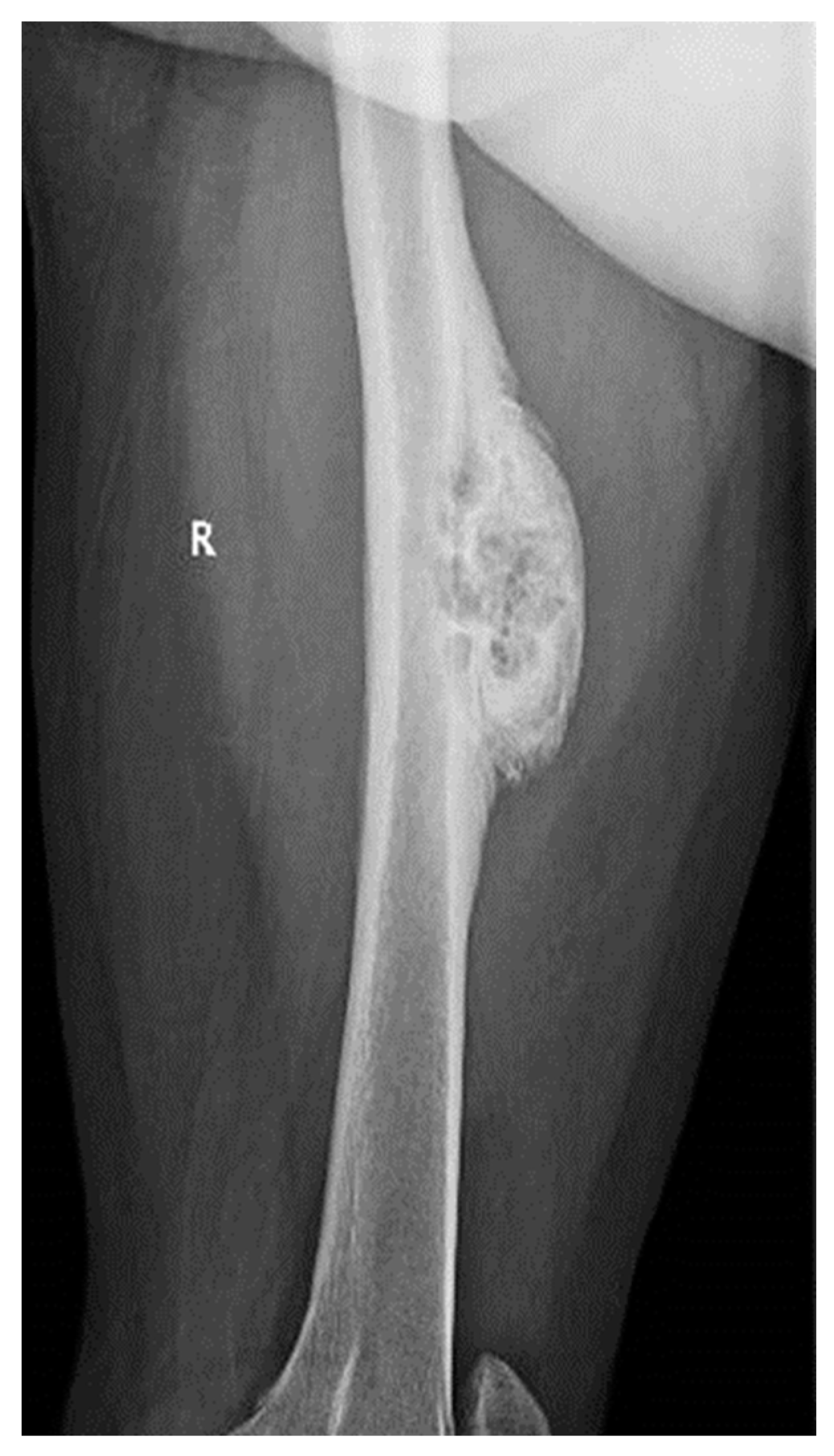 Medicina 59 00869 g002