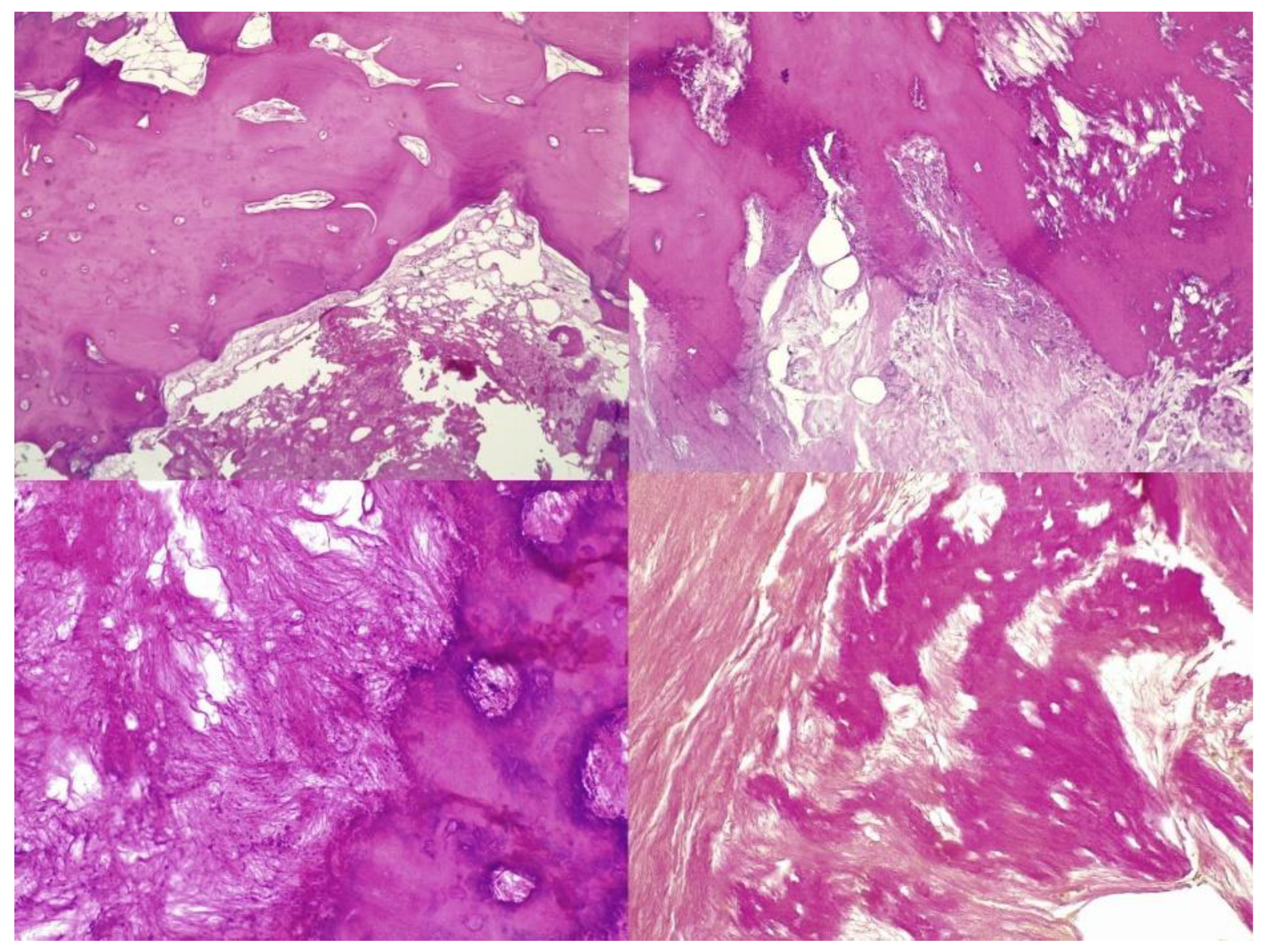 Medicina 59 00869 g005