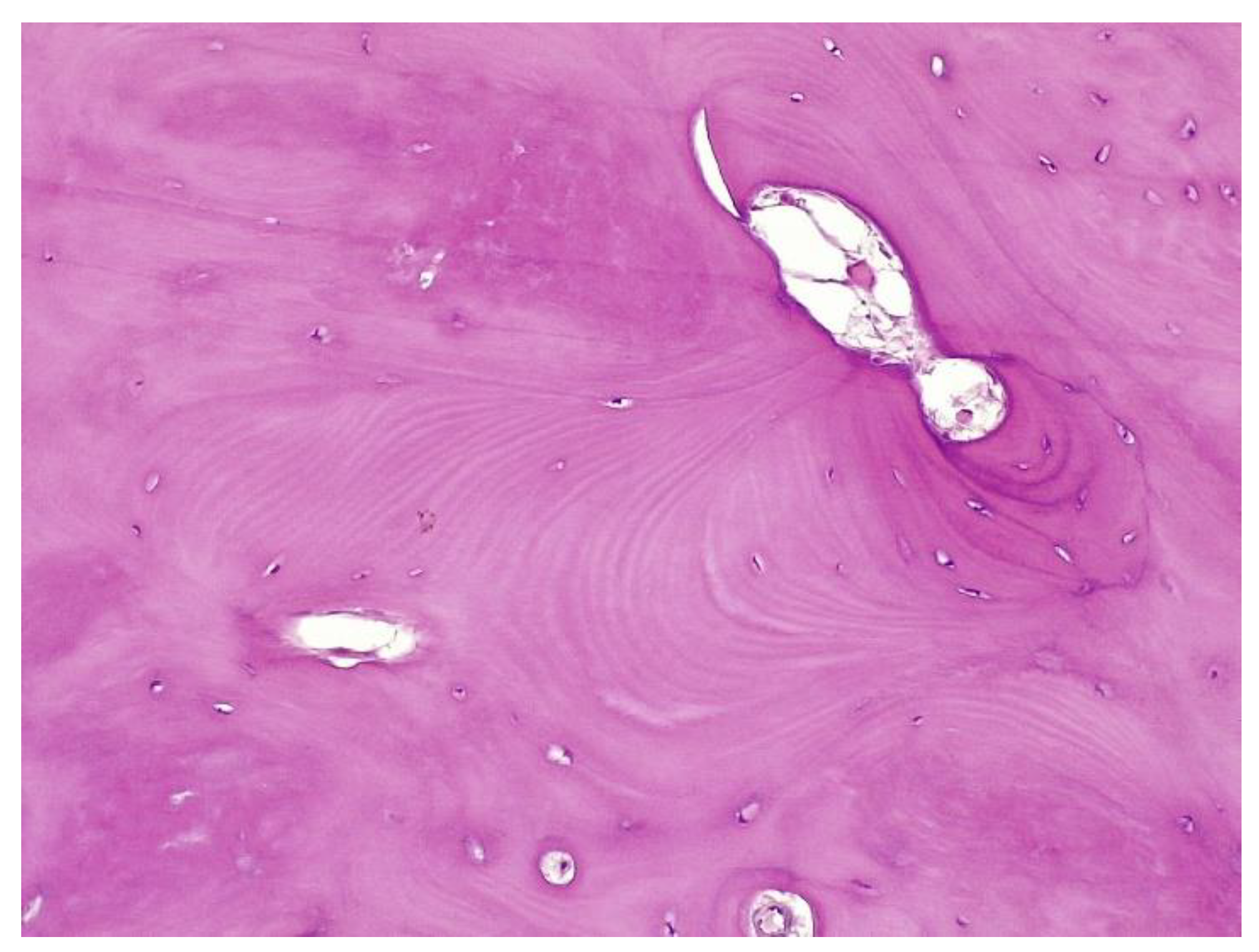 Medicina 59 00869 g007