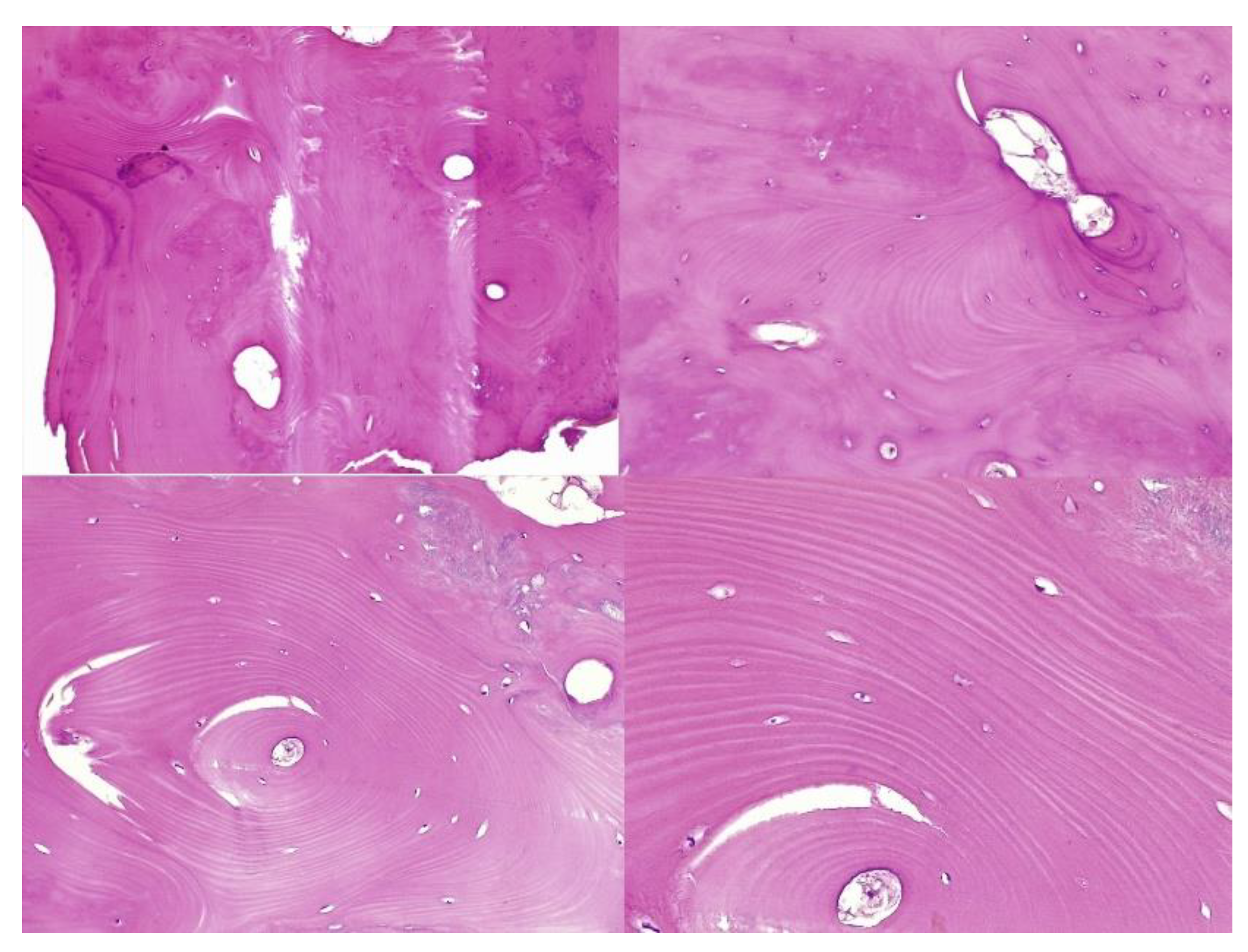 Medicina 59 00869 g008