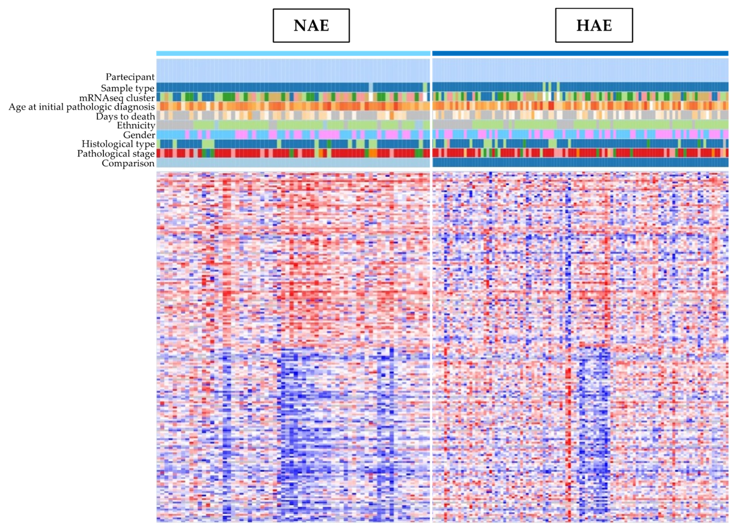 Medicina 59 00872 g001