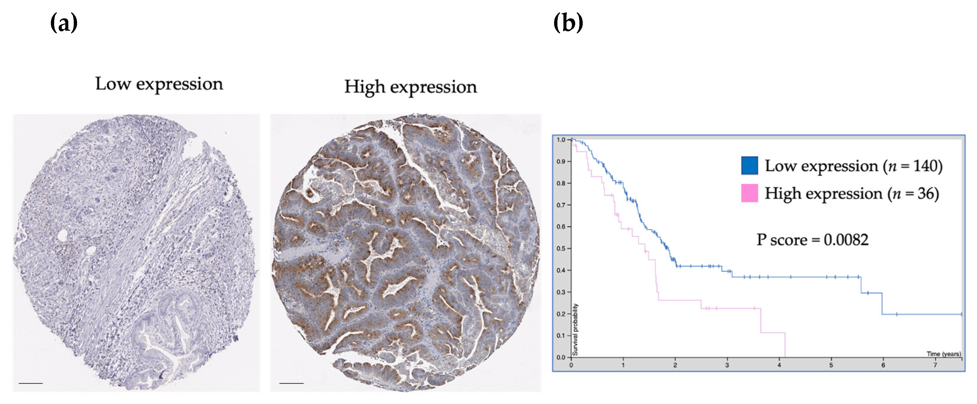 Medicina 59 00872 g003