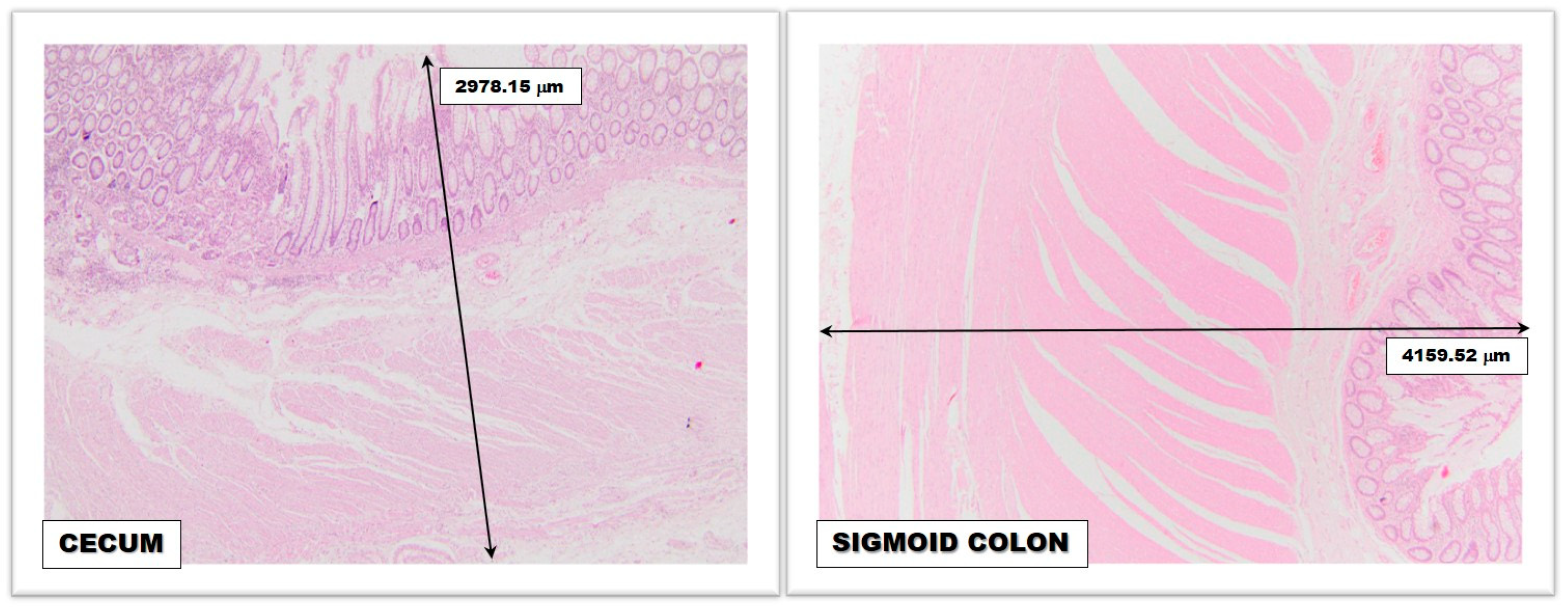 Medicina 59 00875 g001