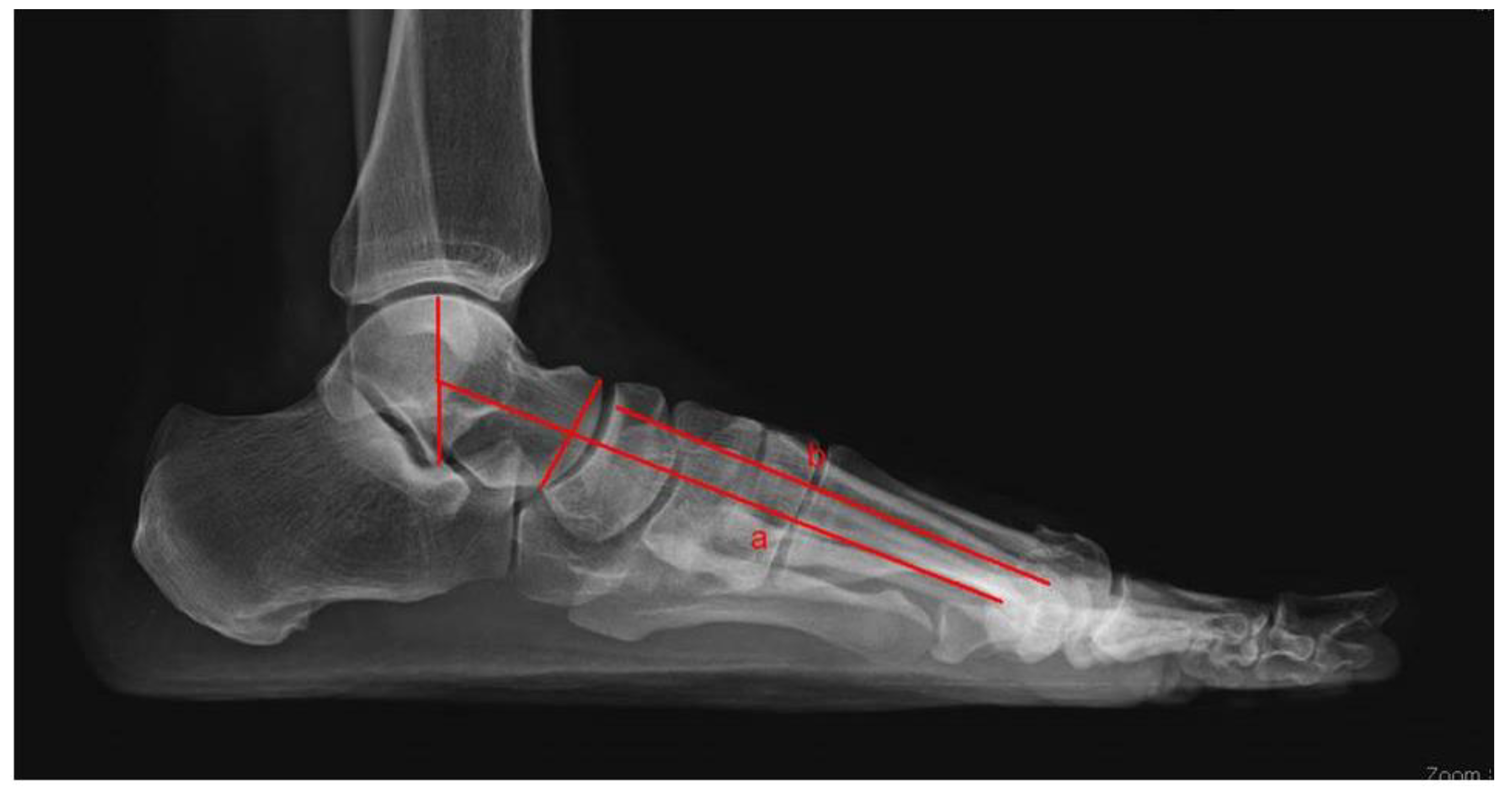 Medicina 59 00876 g003